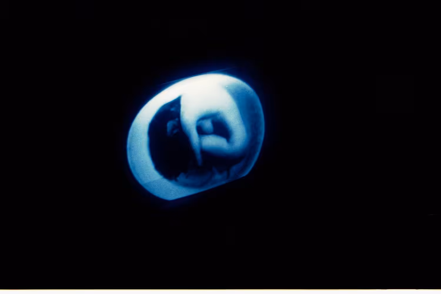 womb