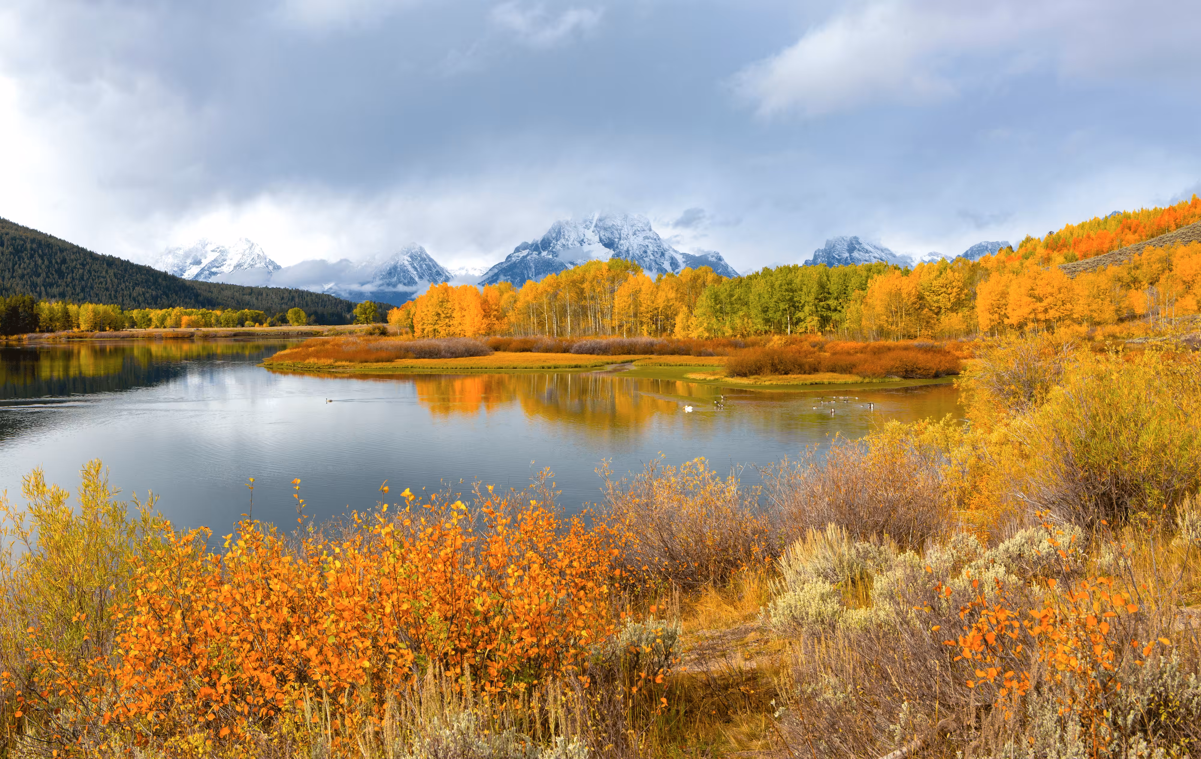 Surrounded by Fall 