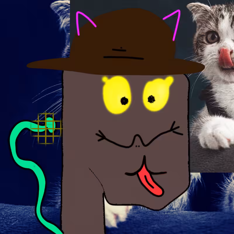 hi CAT lucas #47