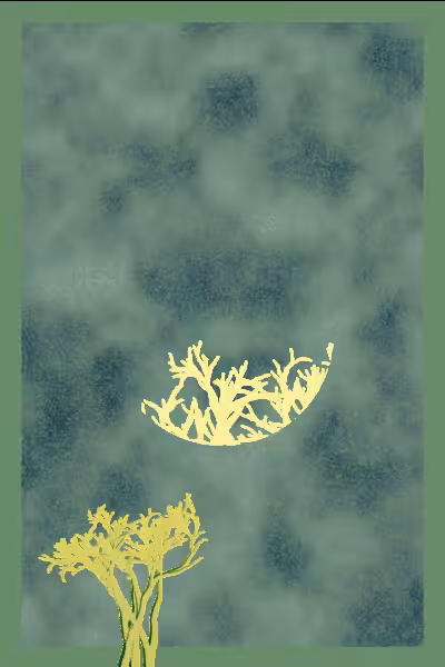 illusion #11