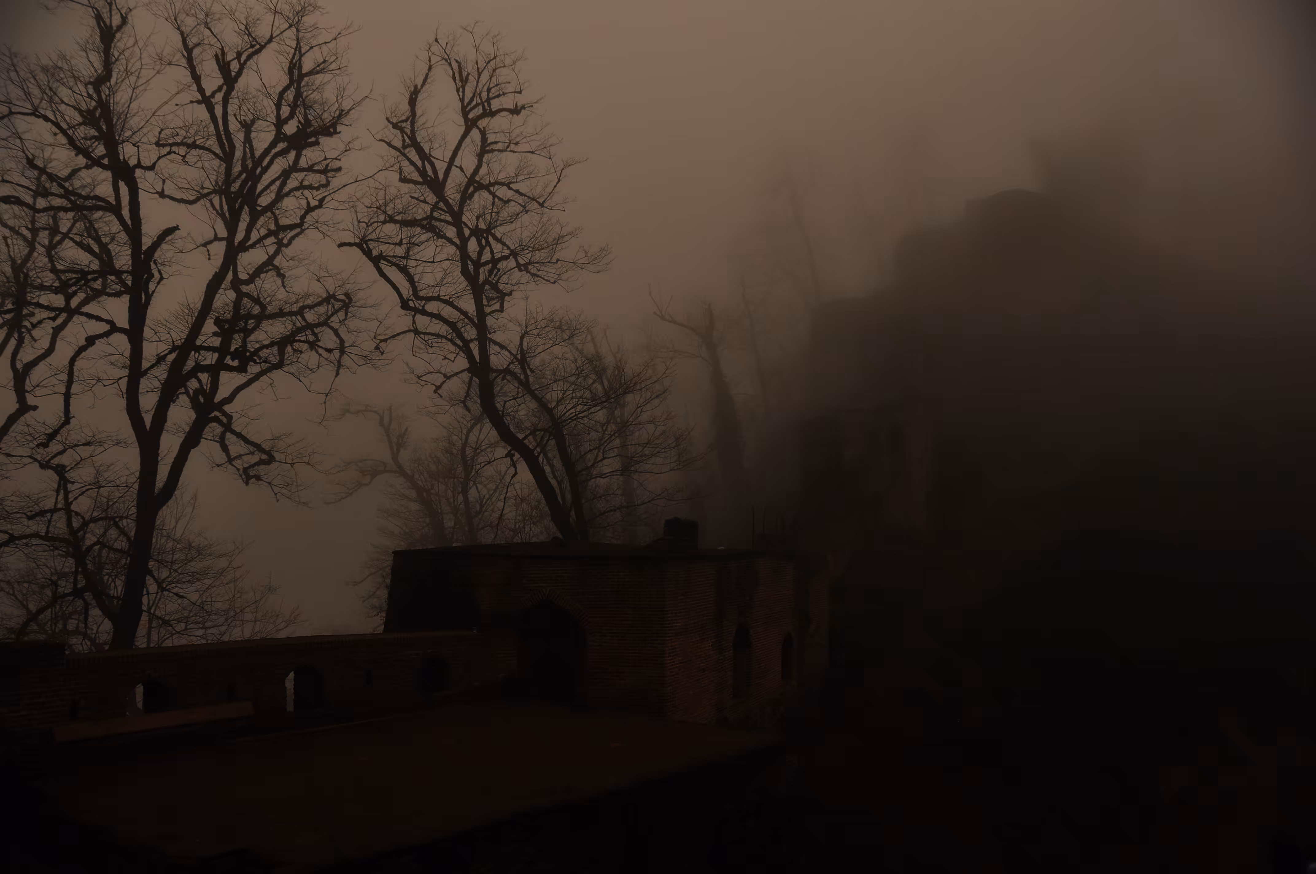 Psychotherapy with nature: fog