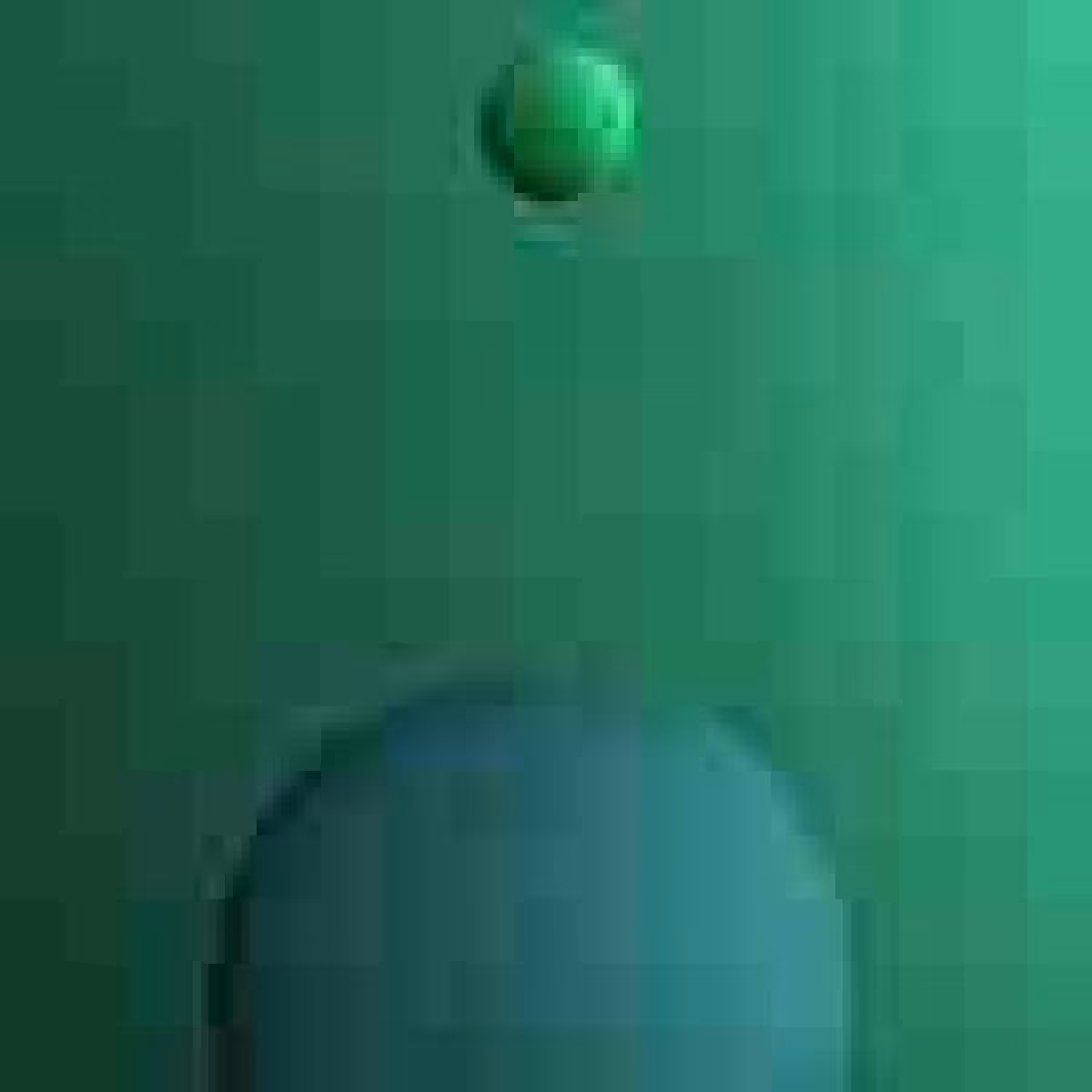 Orbit 392036491