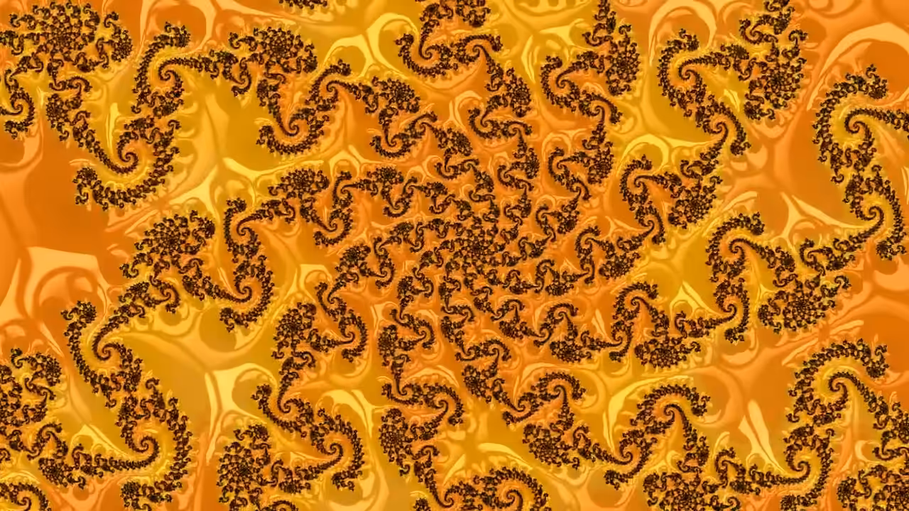 𝐉𝐀𝐈𝐏𝐔𝐑
