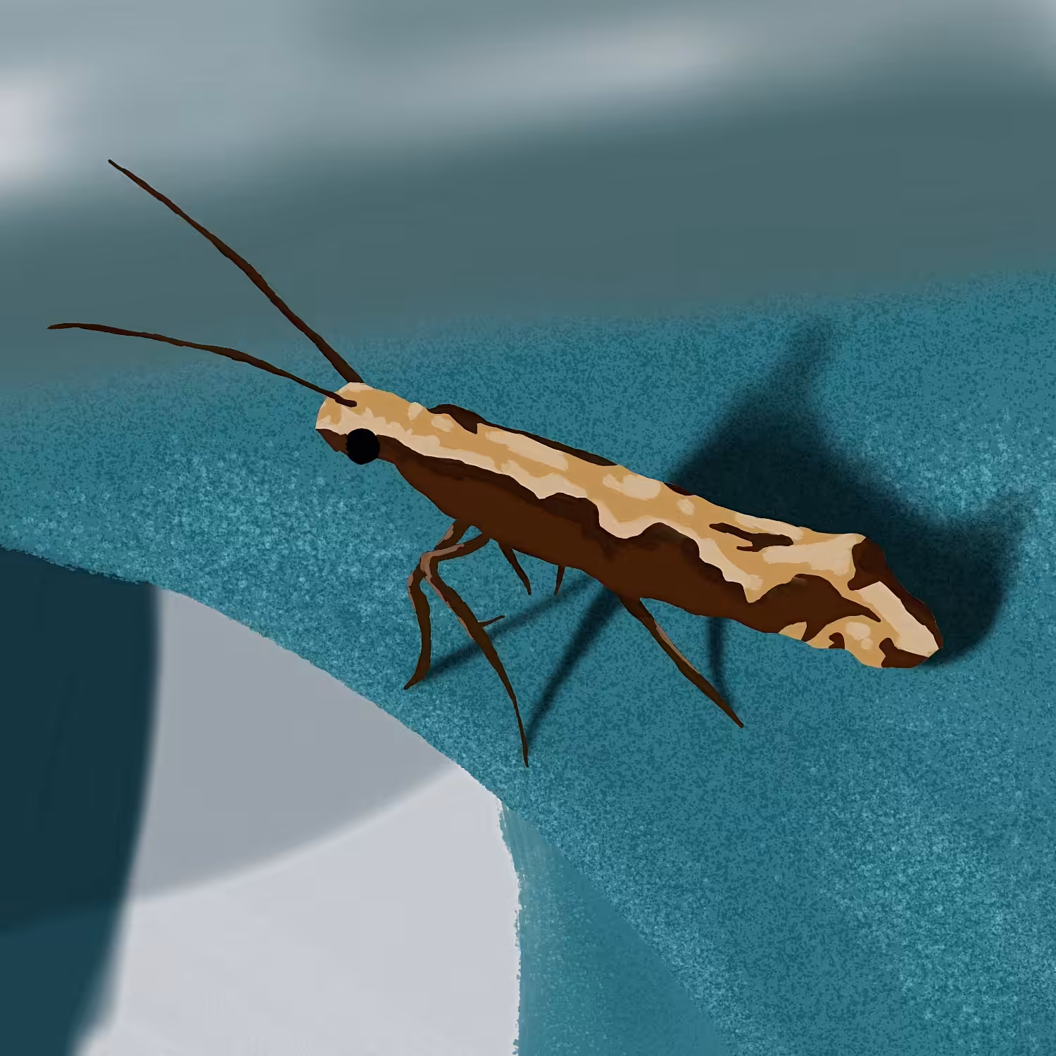 Art Of Abolfazl : A Diamondback Moth In Macro View