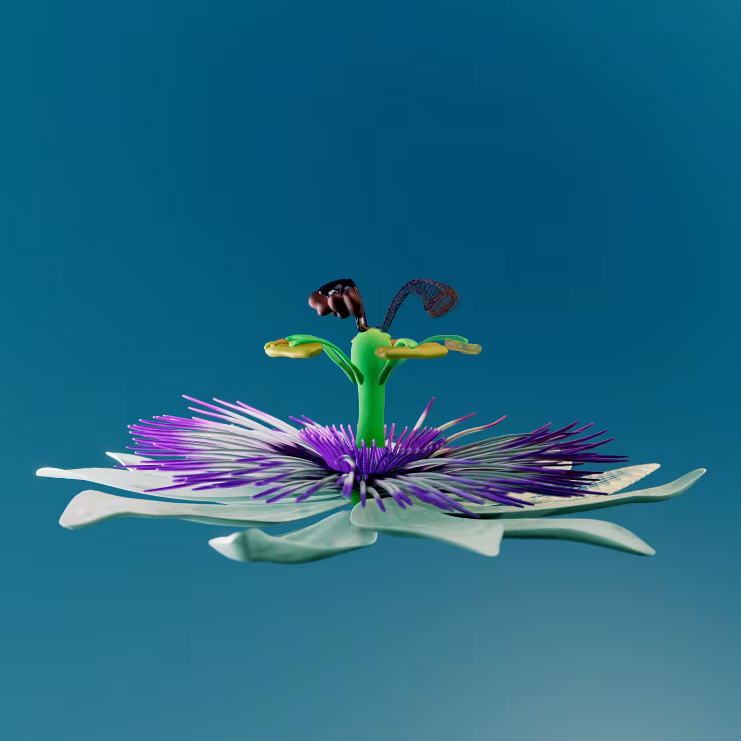 Passionflower
