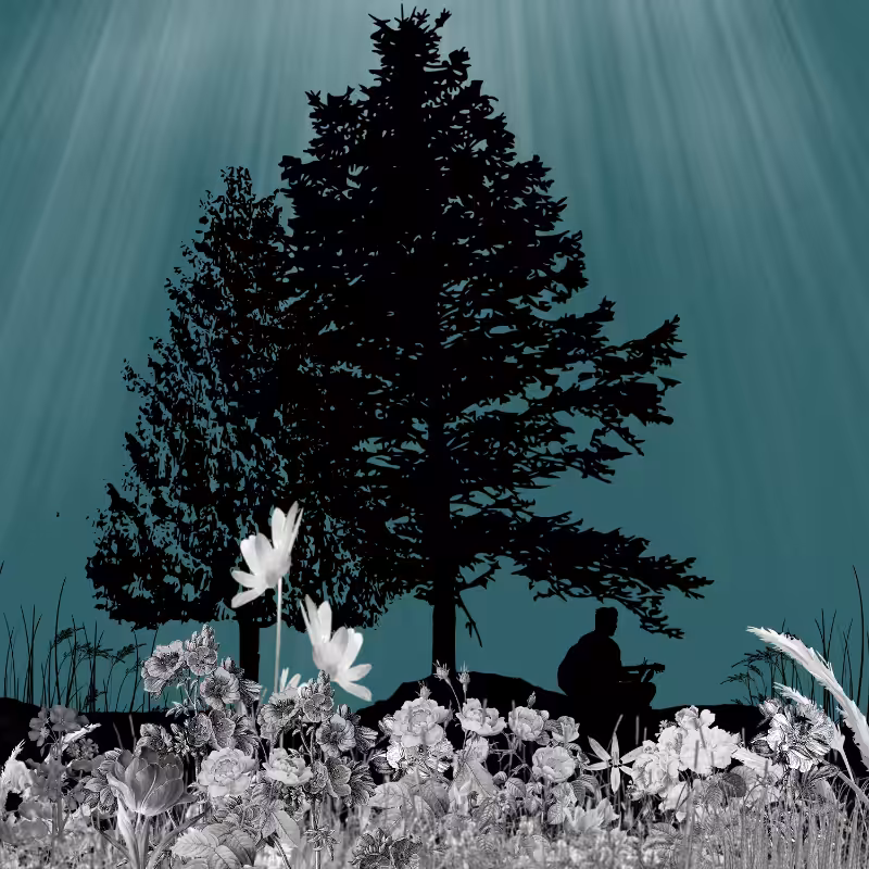 FXBWColor Garden #10