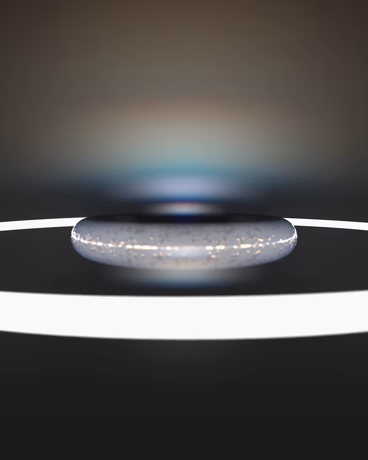 Torus Flip
