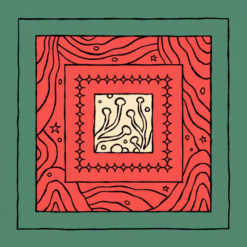 borders #75