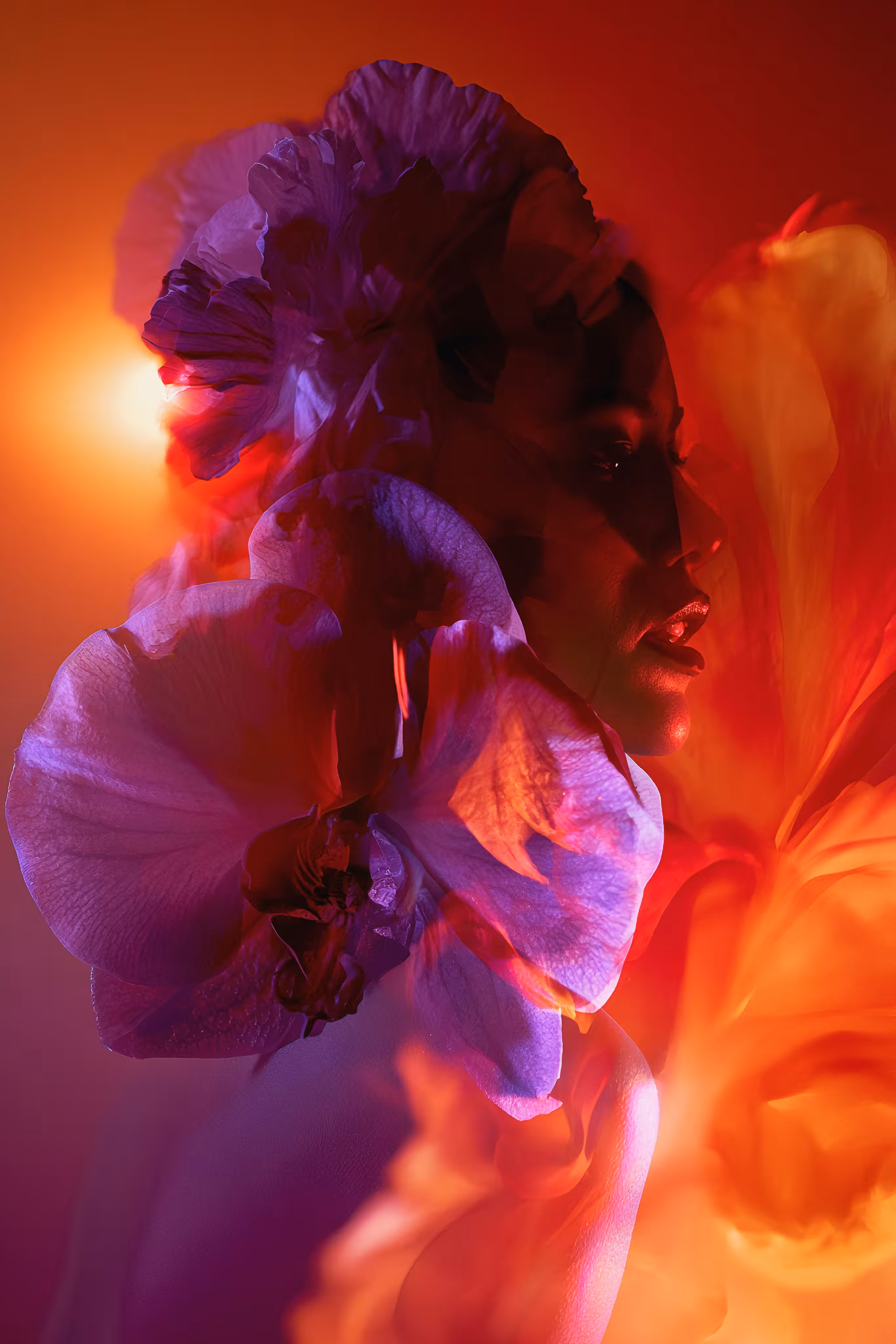 Orchid