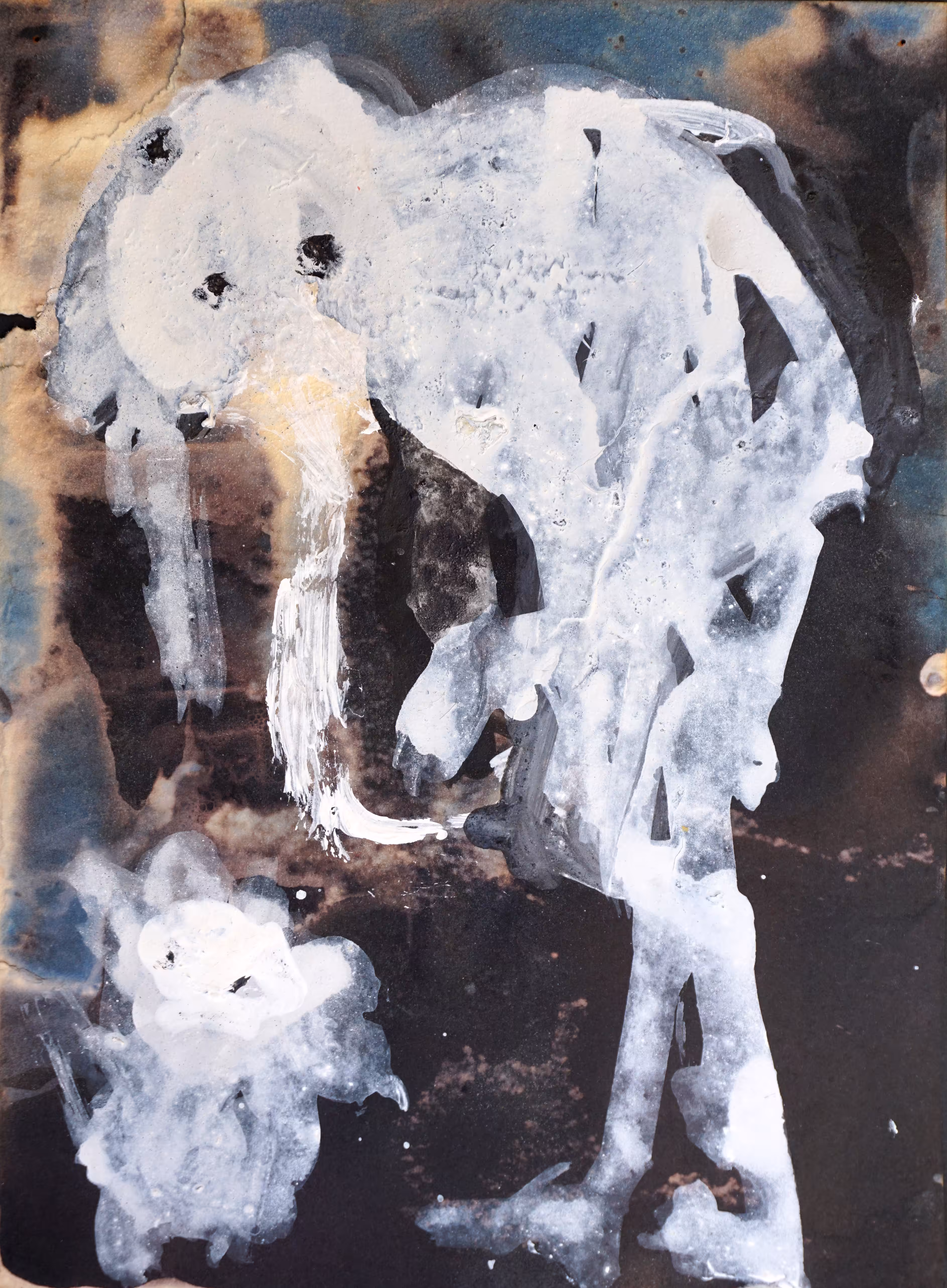 Elephantiasis, dwarfism / Stories of metamorphosis.