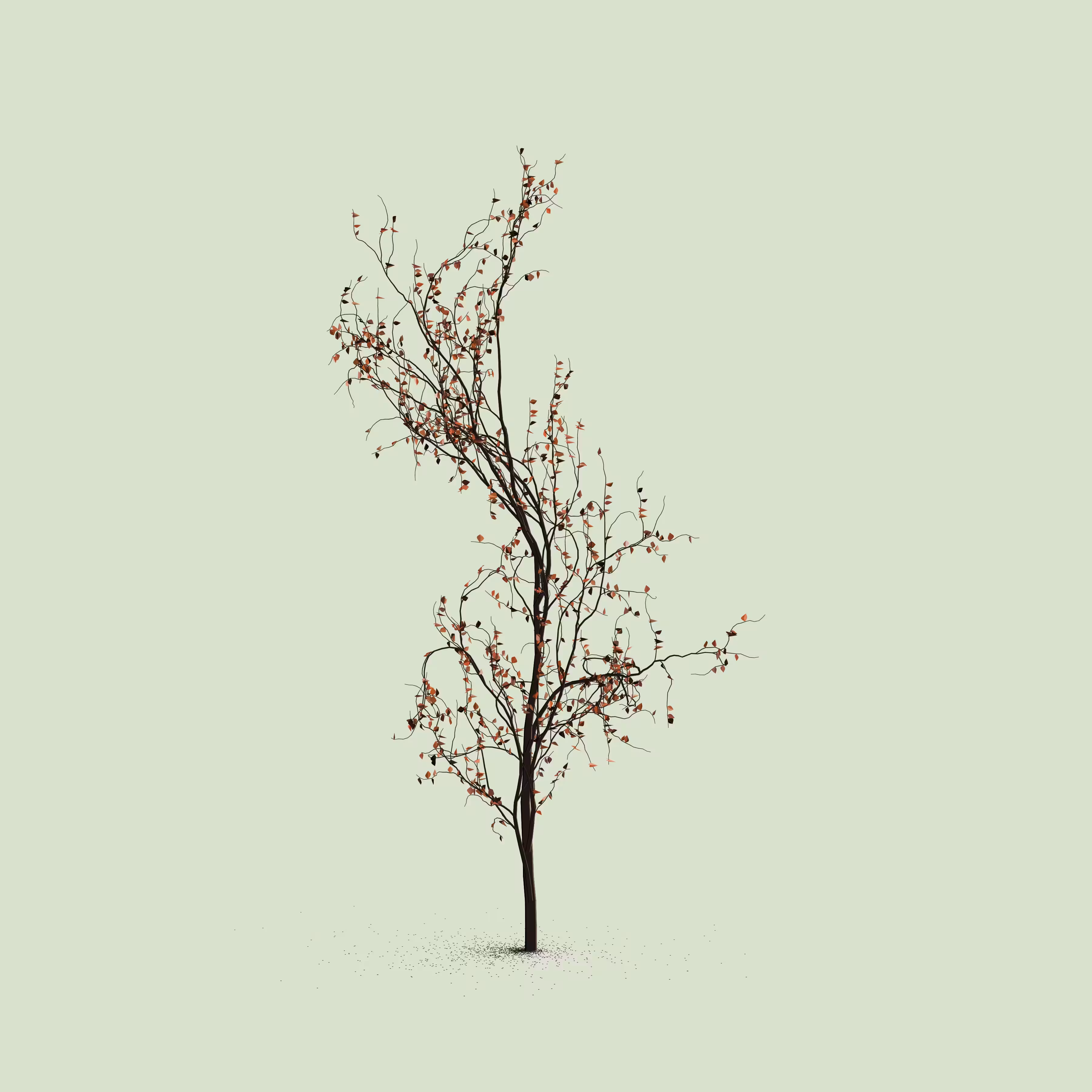 Little Trees #238