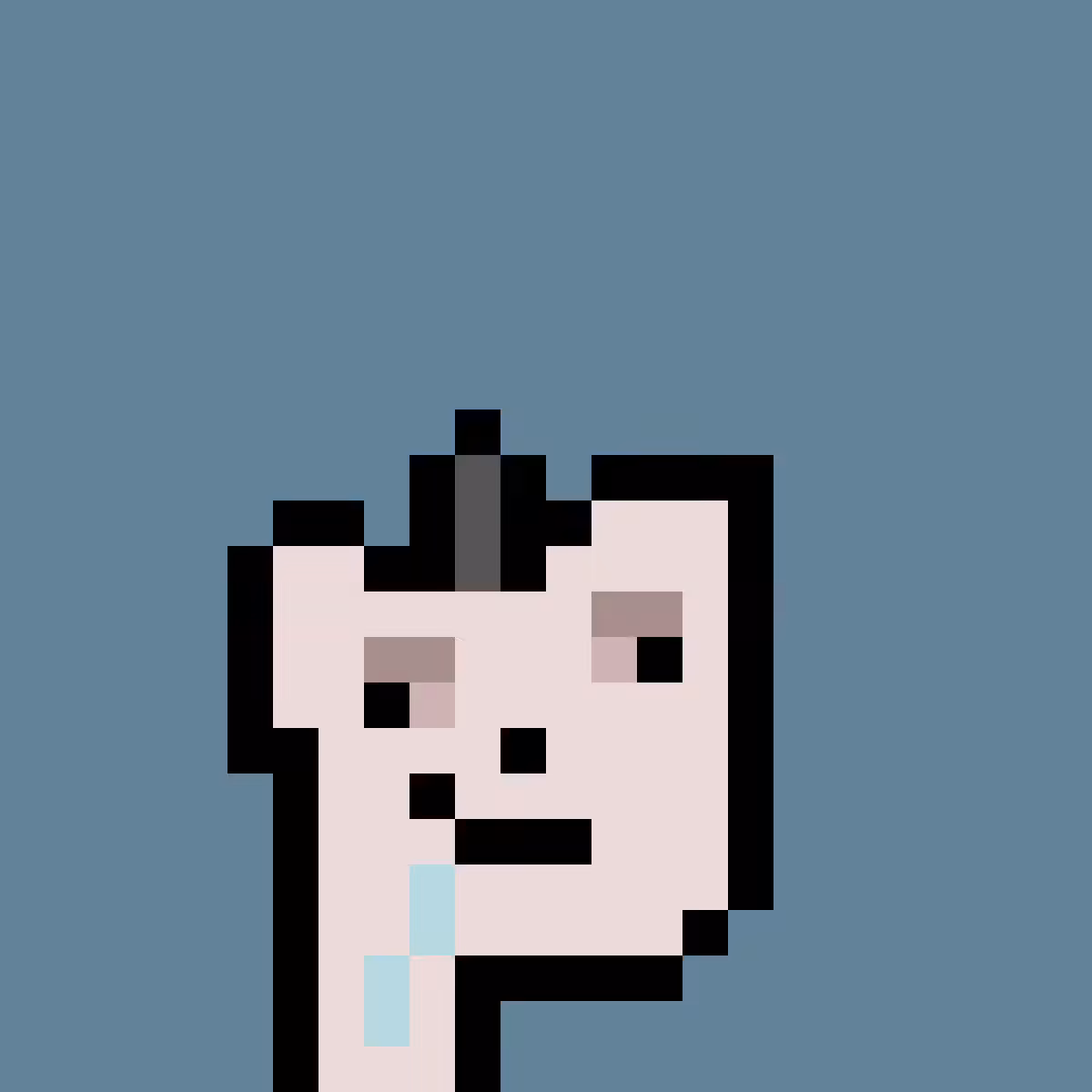 PNUKS #2328