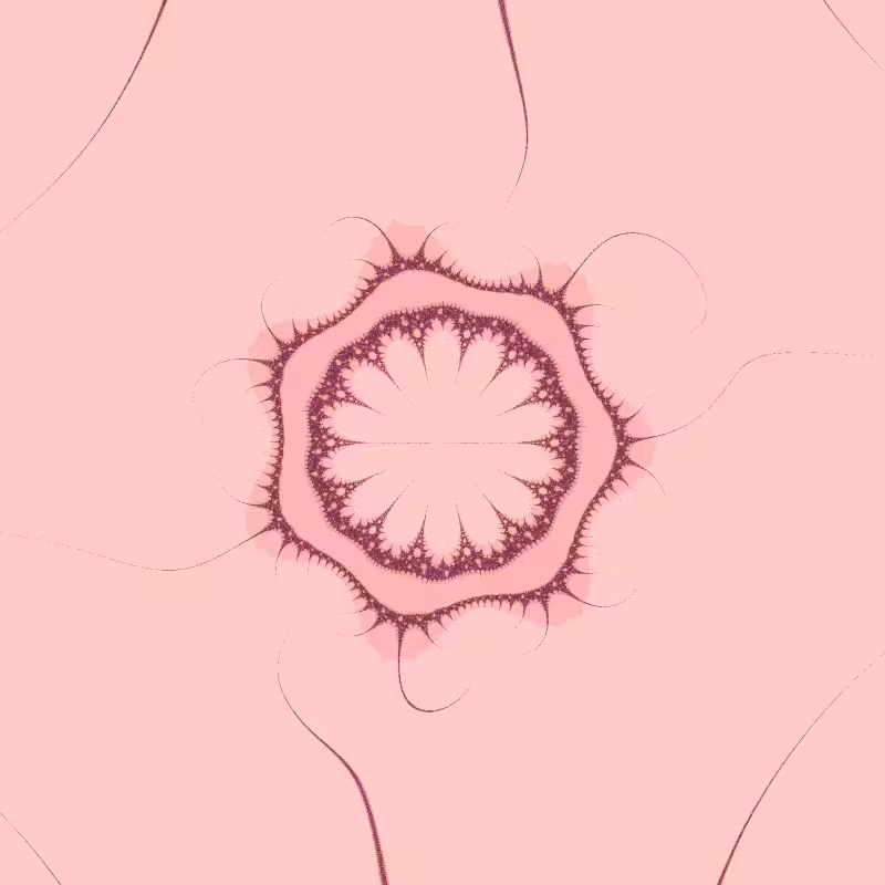 Morphology #52