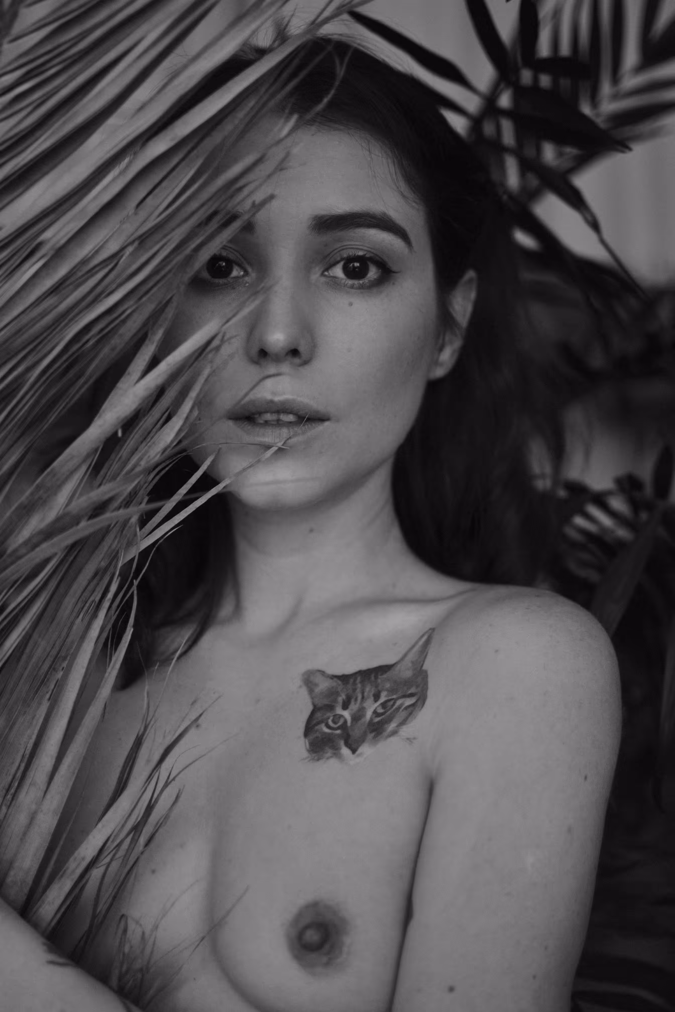 Tropical grace #1