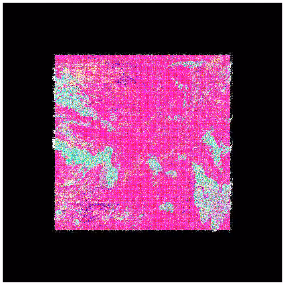 CHX-1 #21