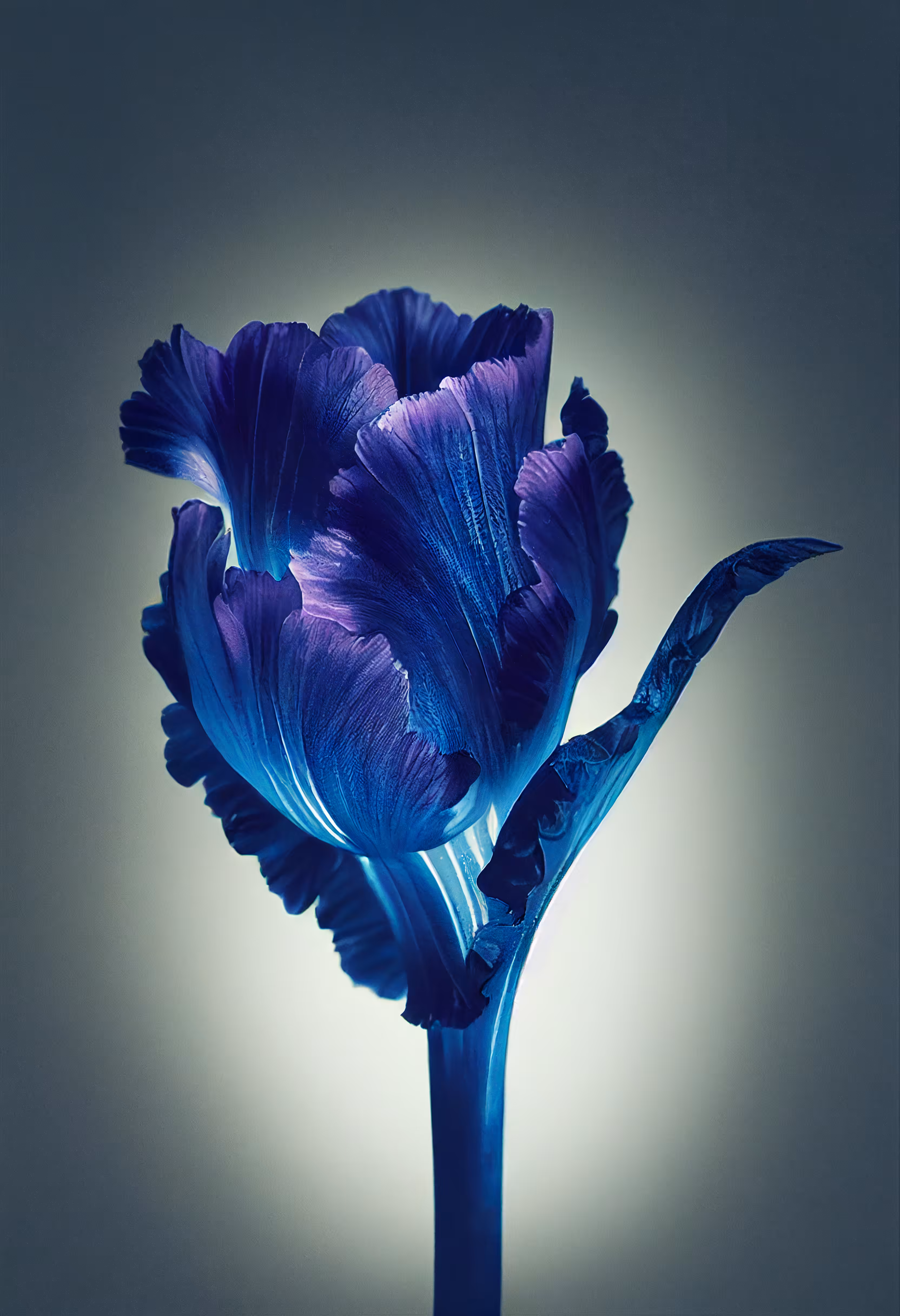A Flower, Just For You. #34