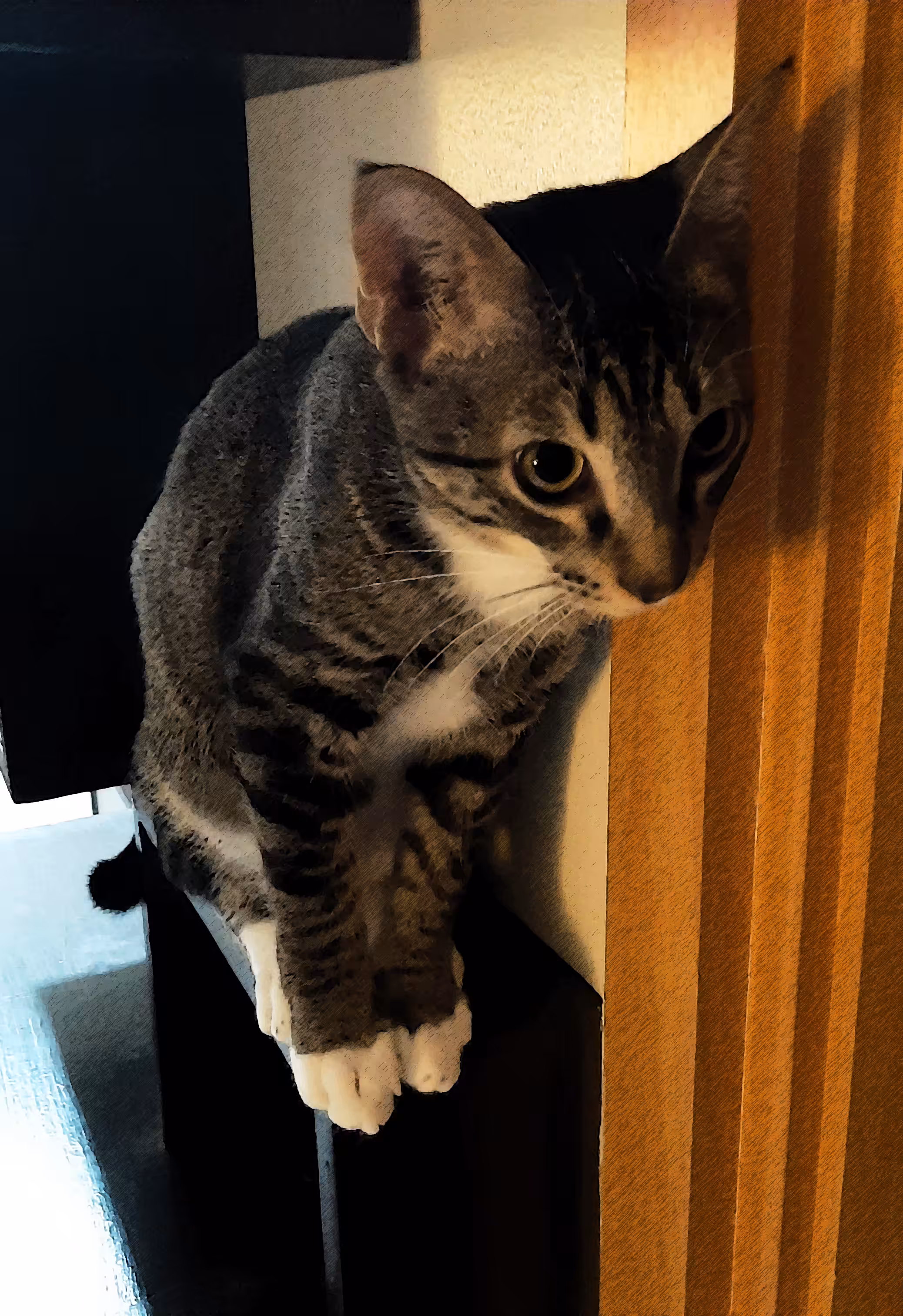 Pusskin #32 - What up Cat