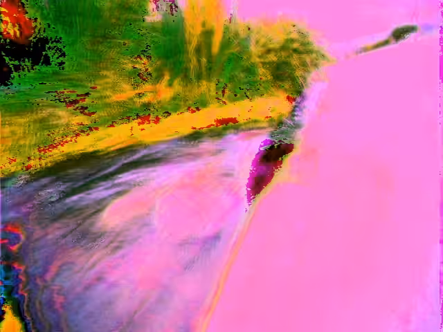 REVERSER