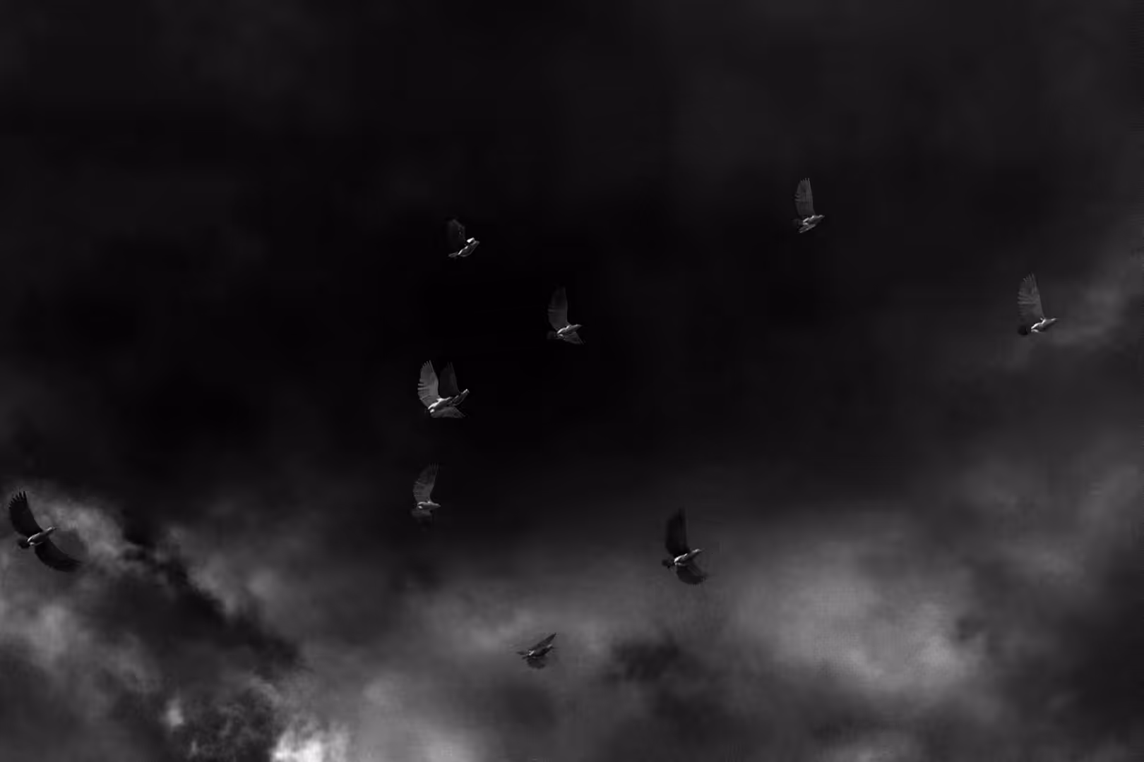 Birds of Prey