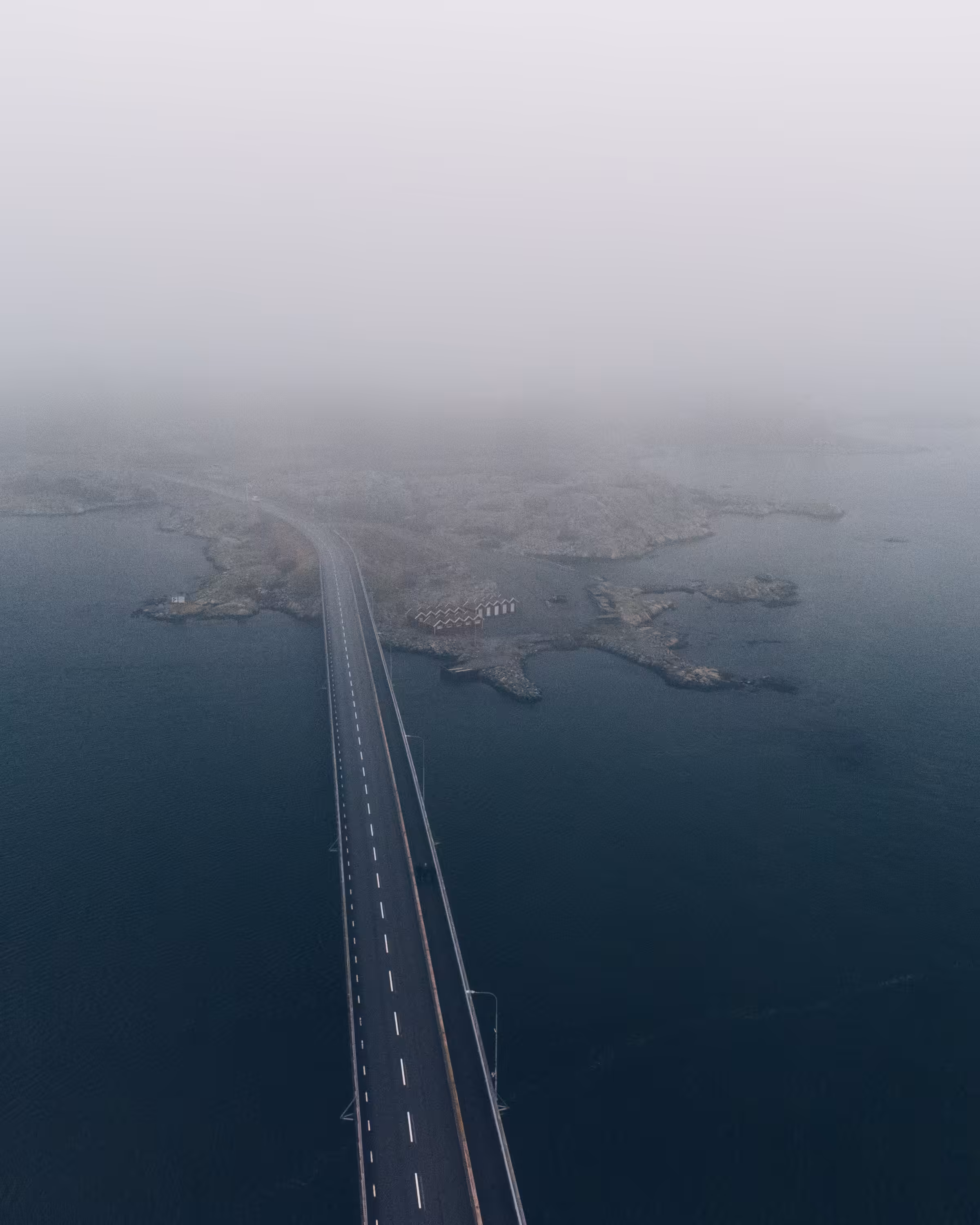 Into The Mist