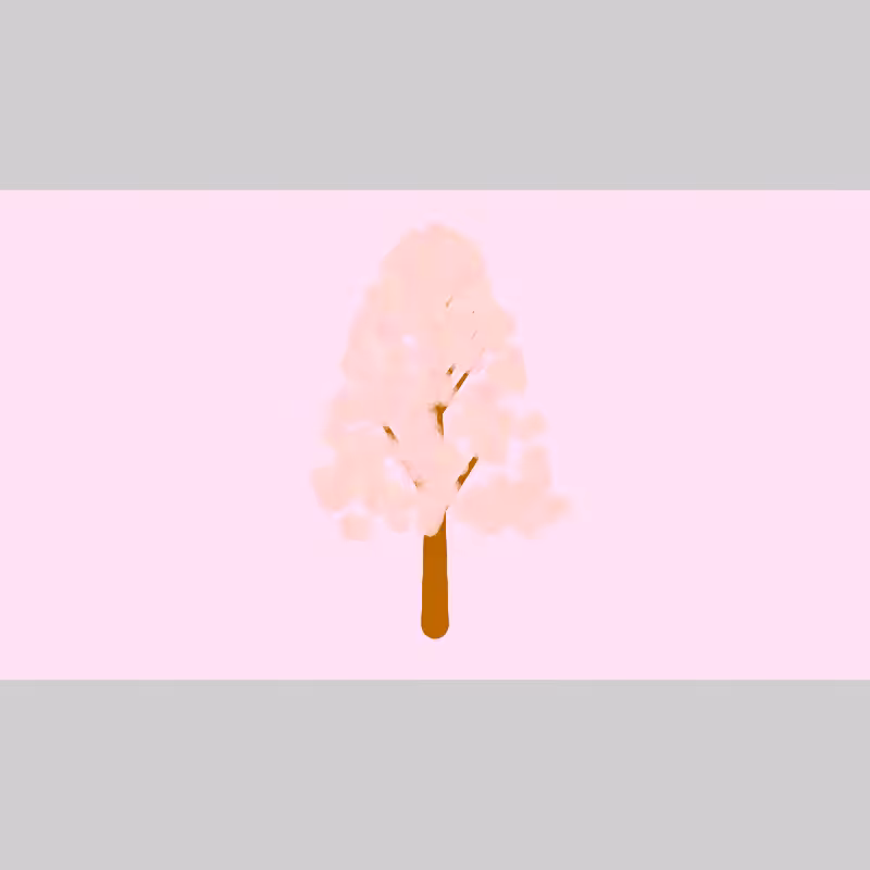 Sakura #24