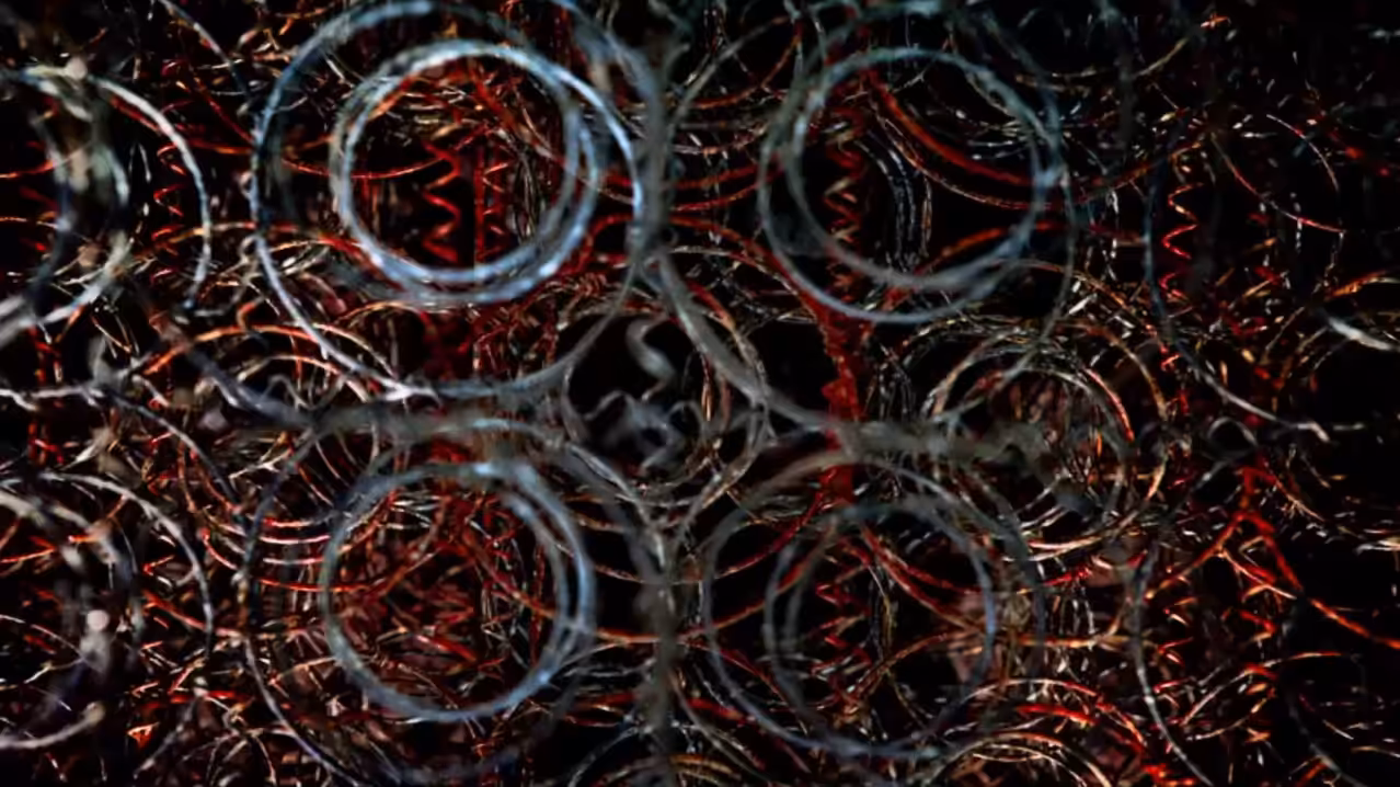 Nibiru’s circles