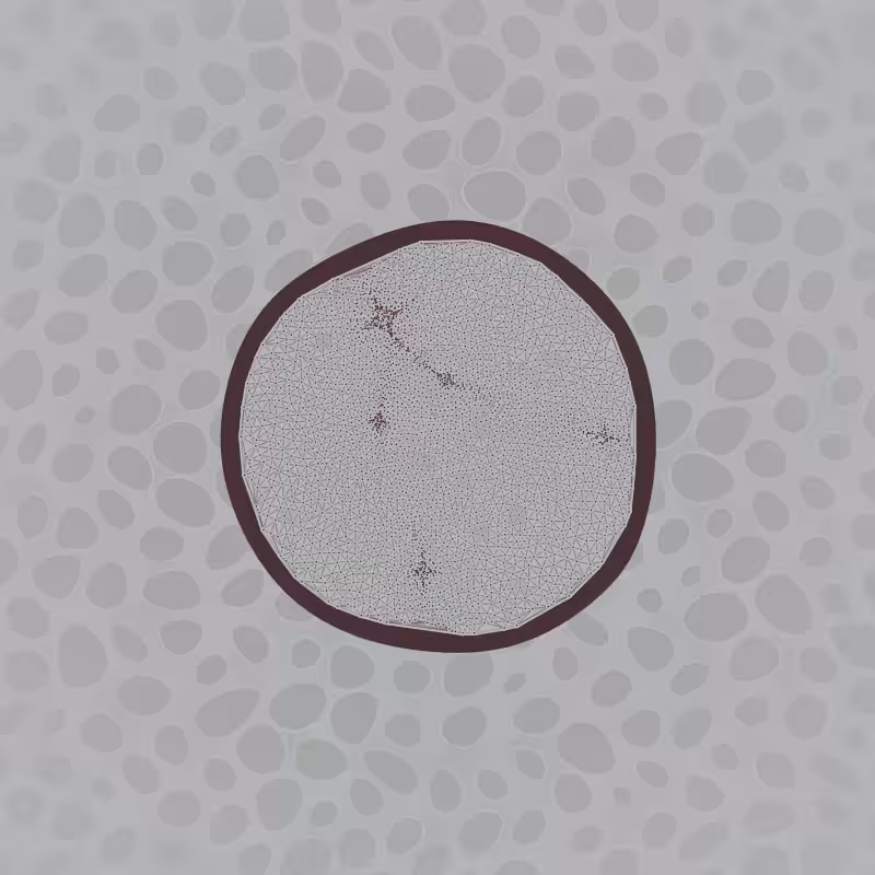 Protista #10