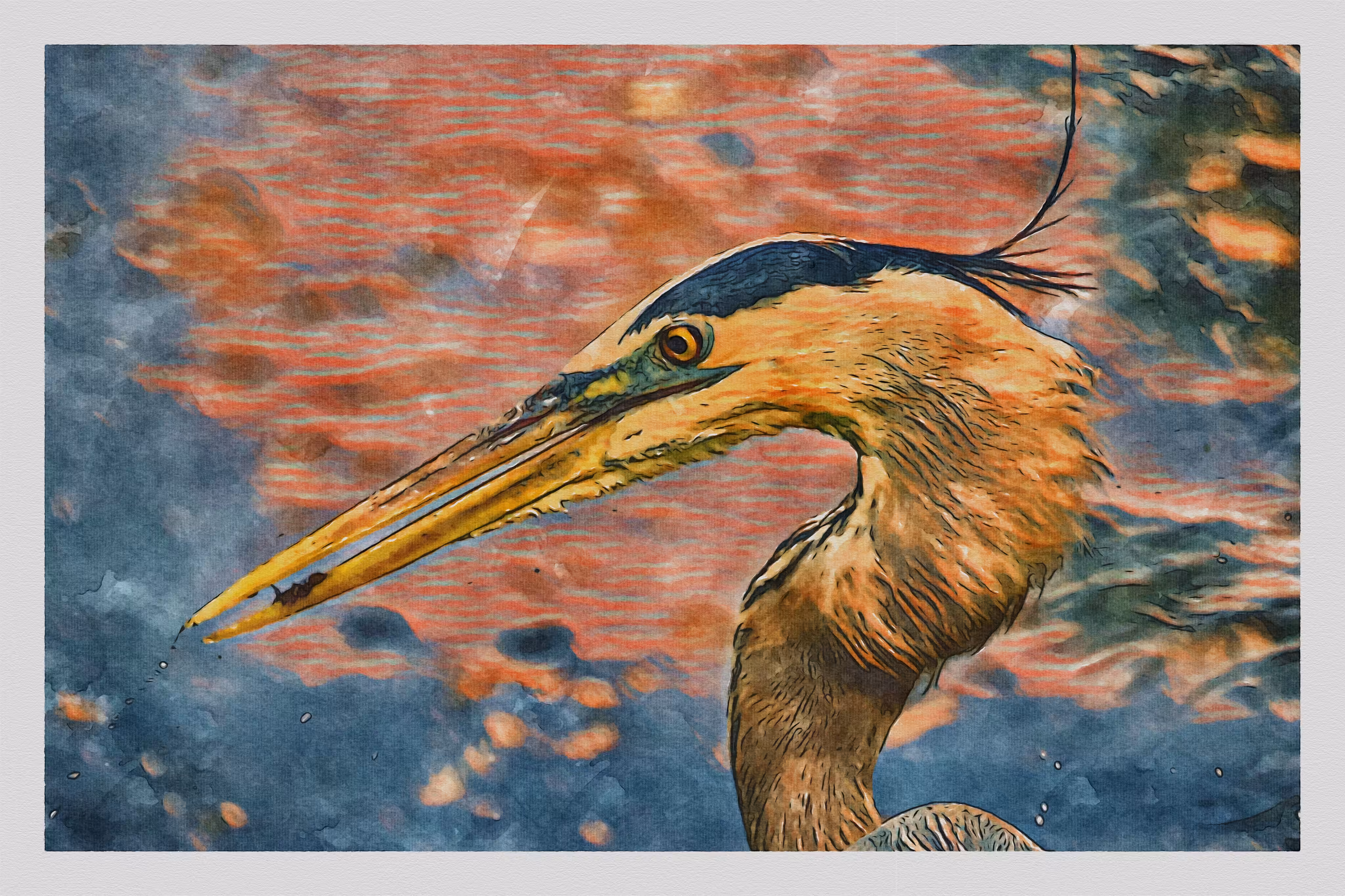 Watercolored: Watercolor - Great Blue Heron 9