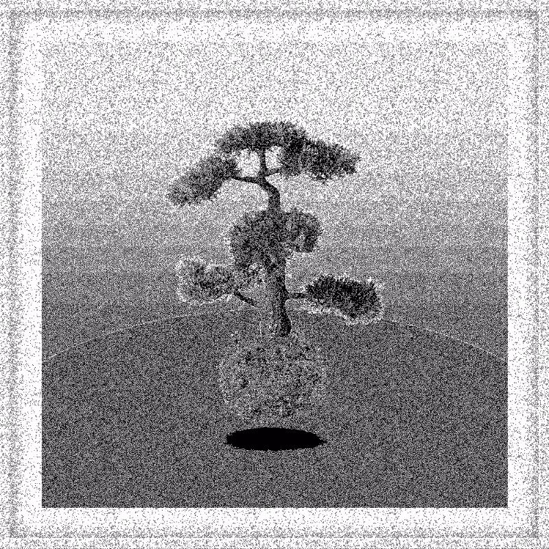 Bonsai Bonanza #130