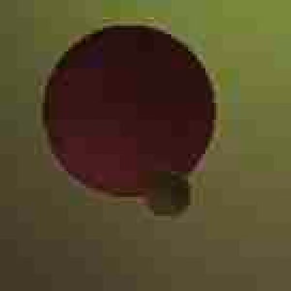 Orbit 715720916