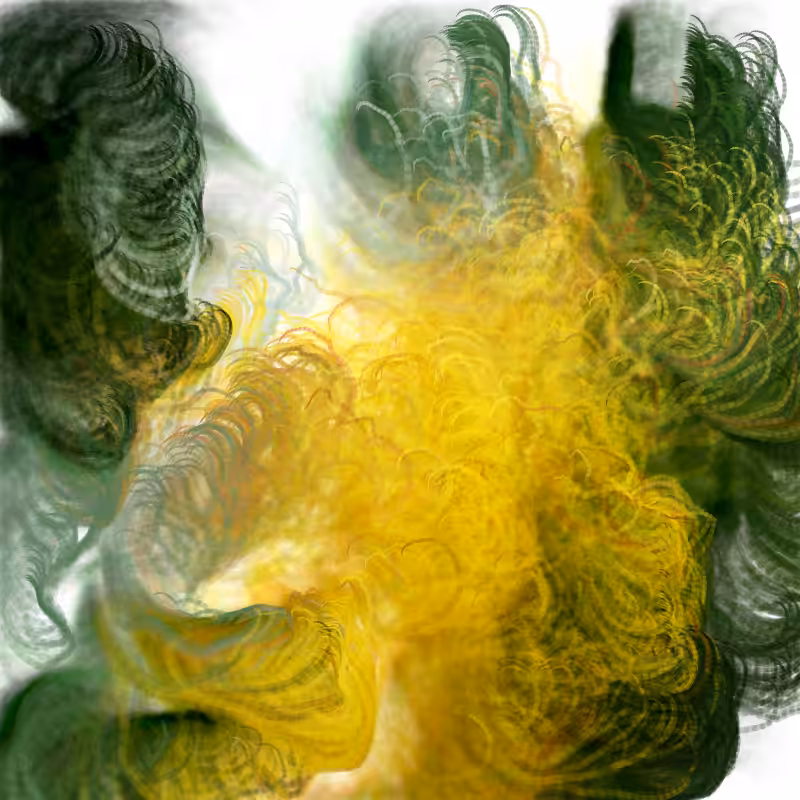 Hypericum #223
