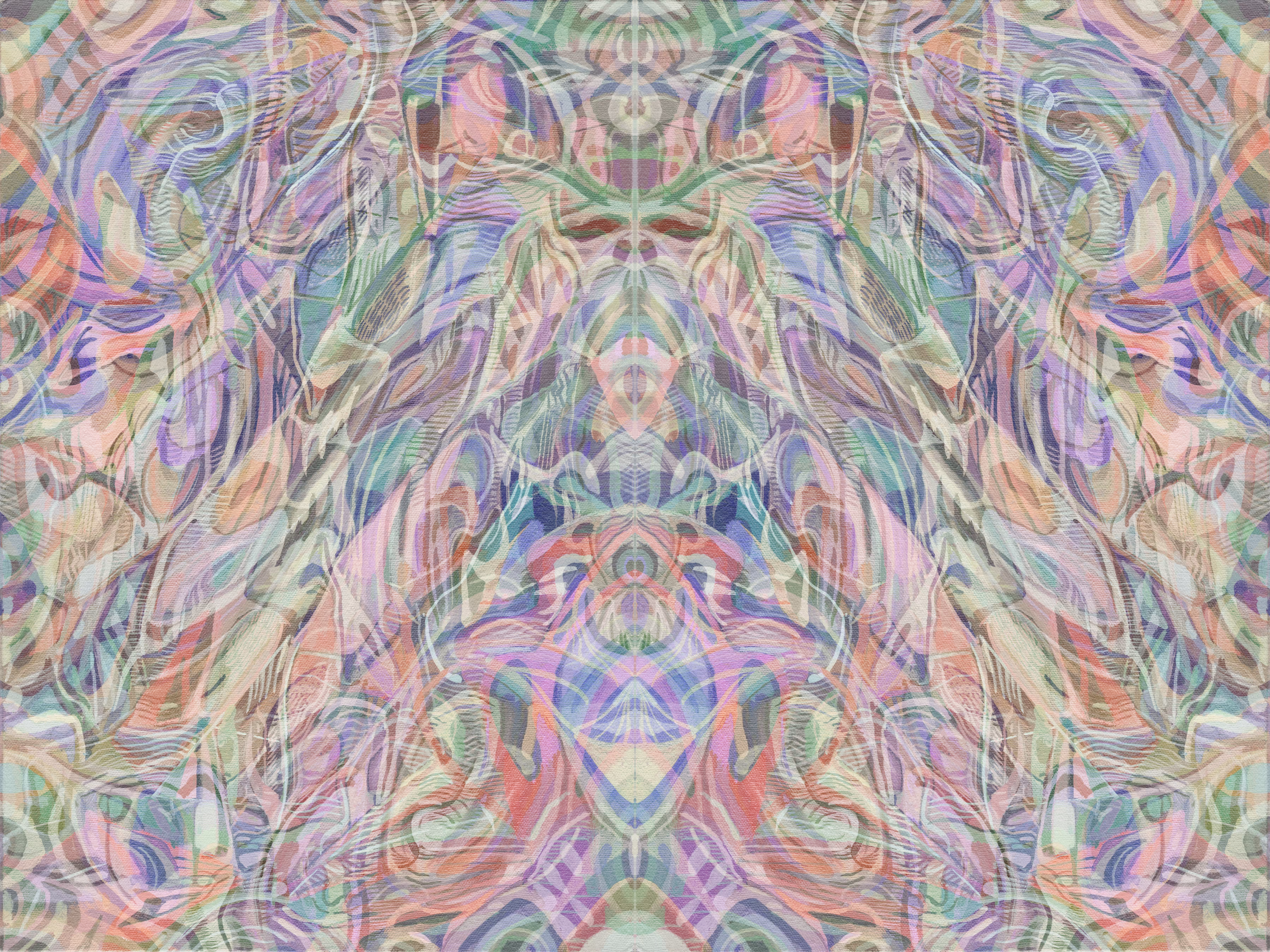 windshield