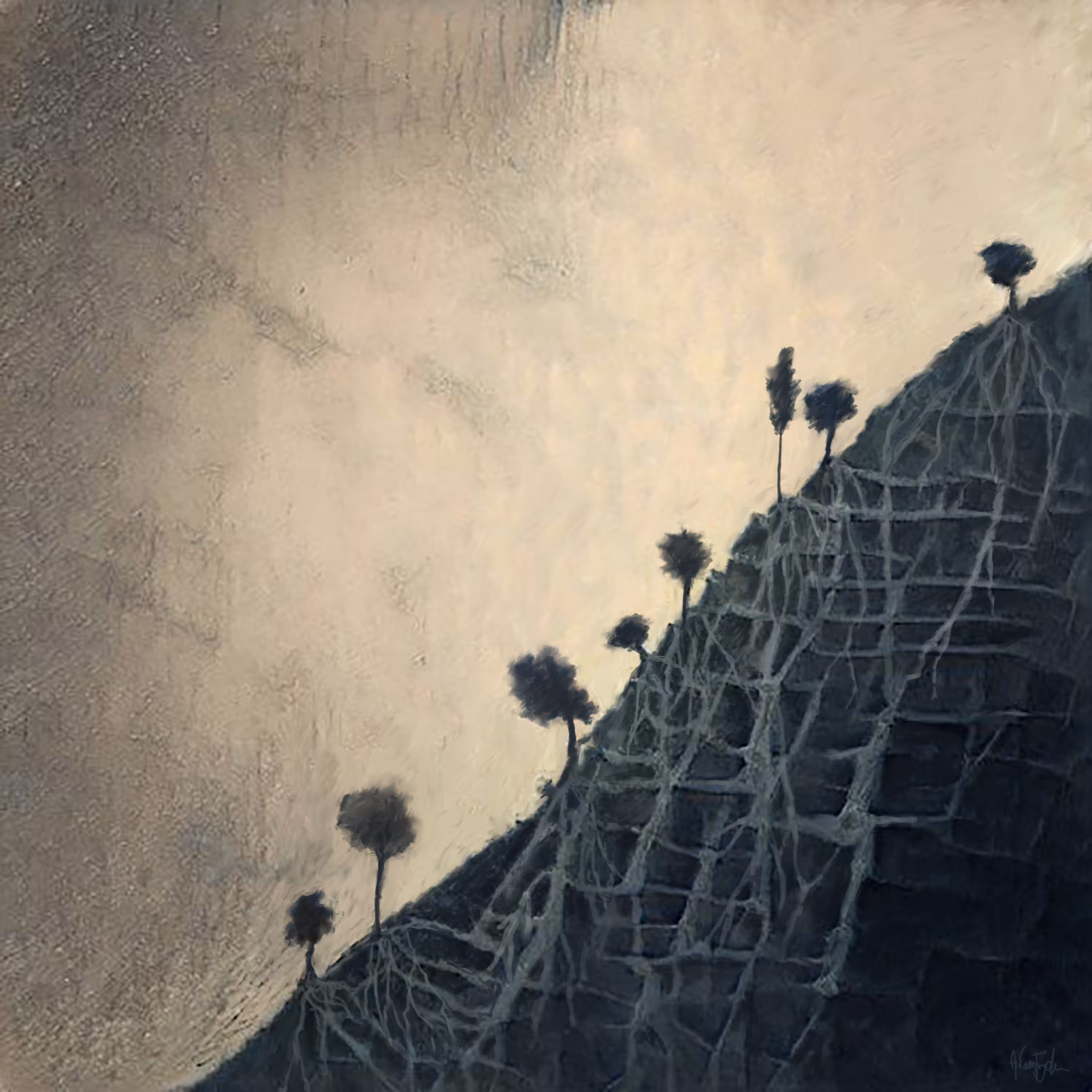 The roots go deep