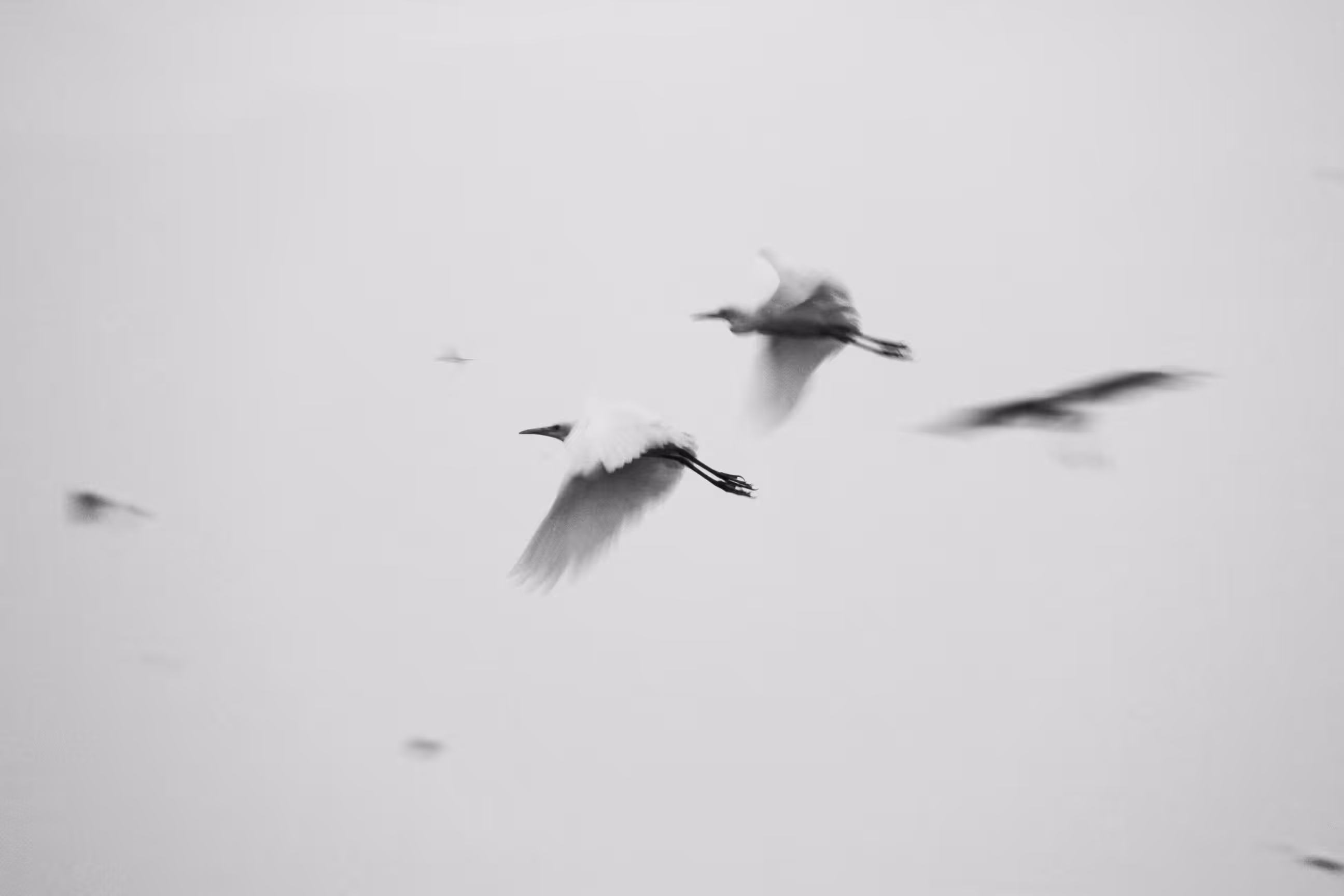 Maneuver