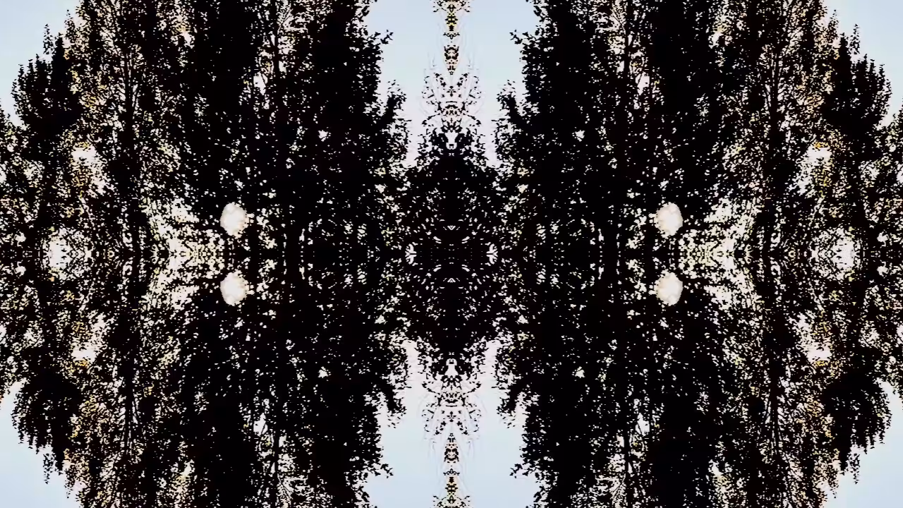NFTree