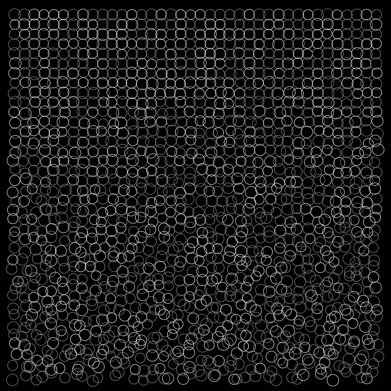circles of life #13