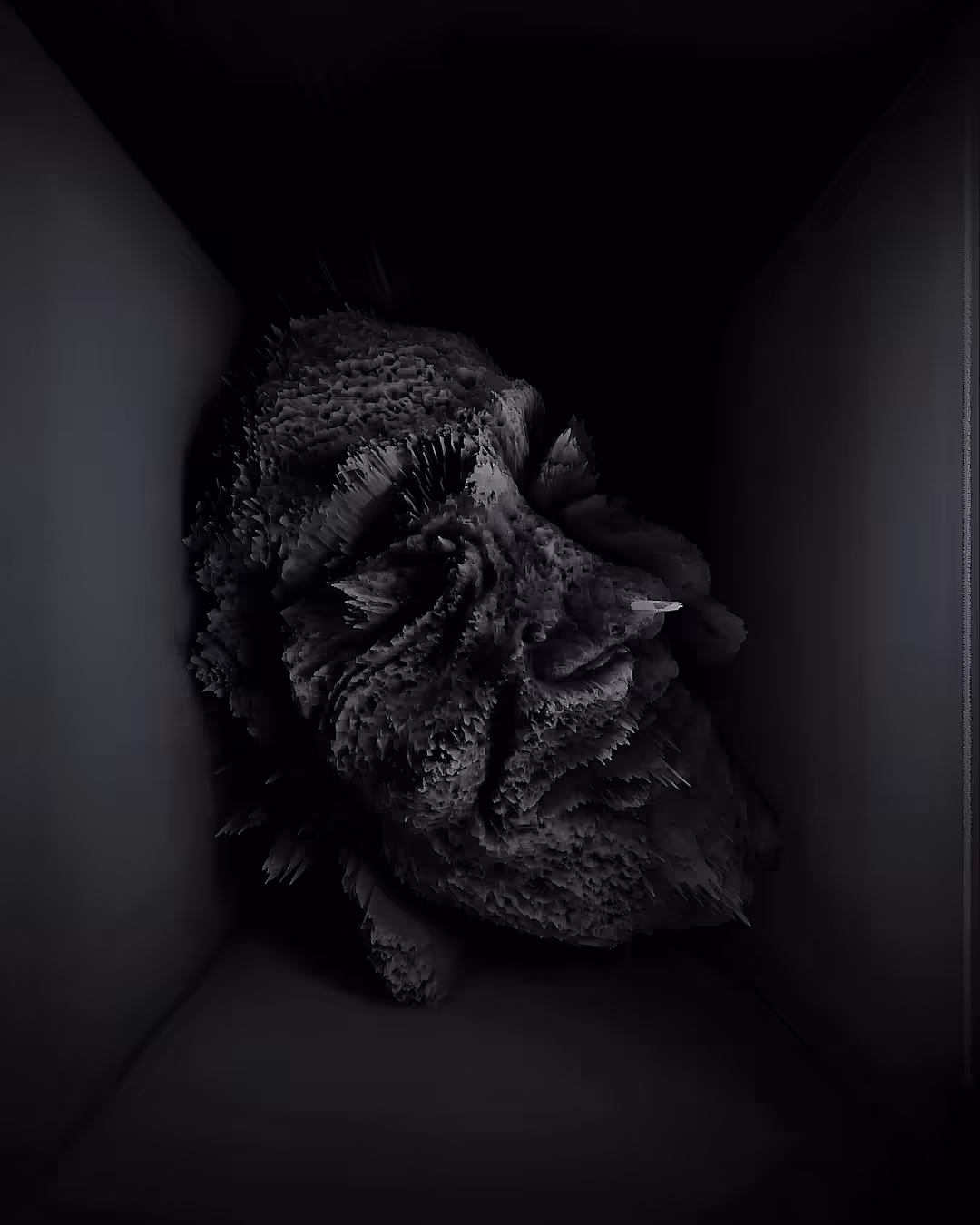 DARK MATTER