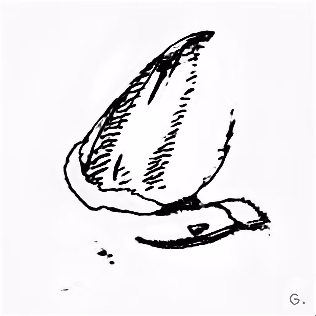 J48BAFORMS: J48BAFORM #3555