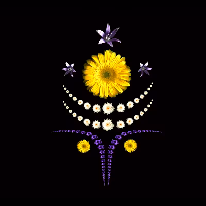 GEMINI -the star-