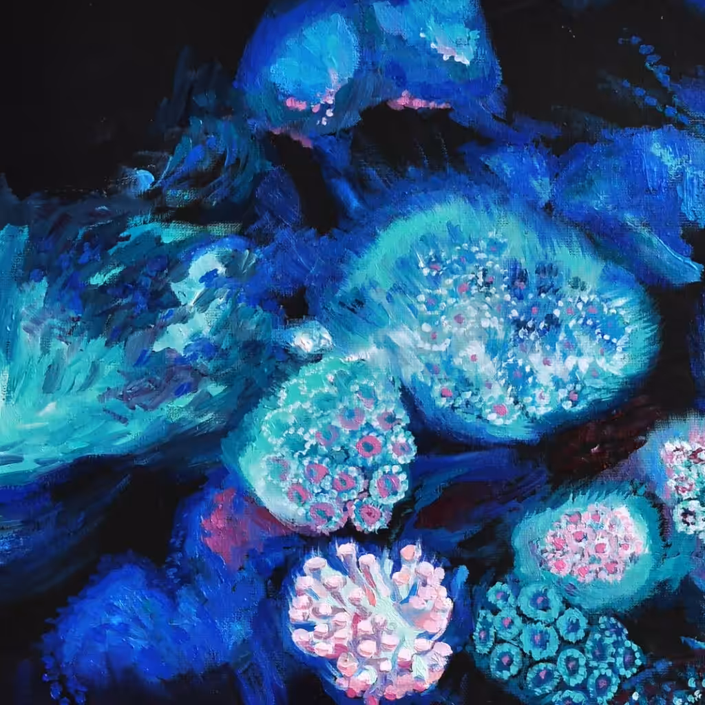 Corals #2