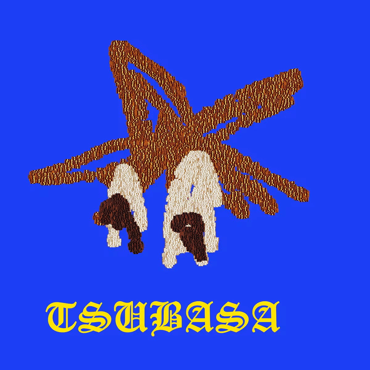 TSUBASA