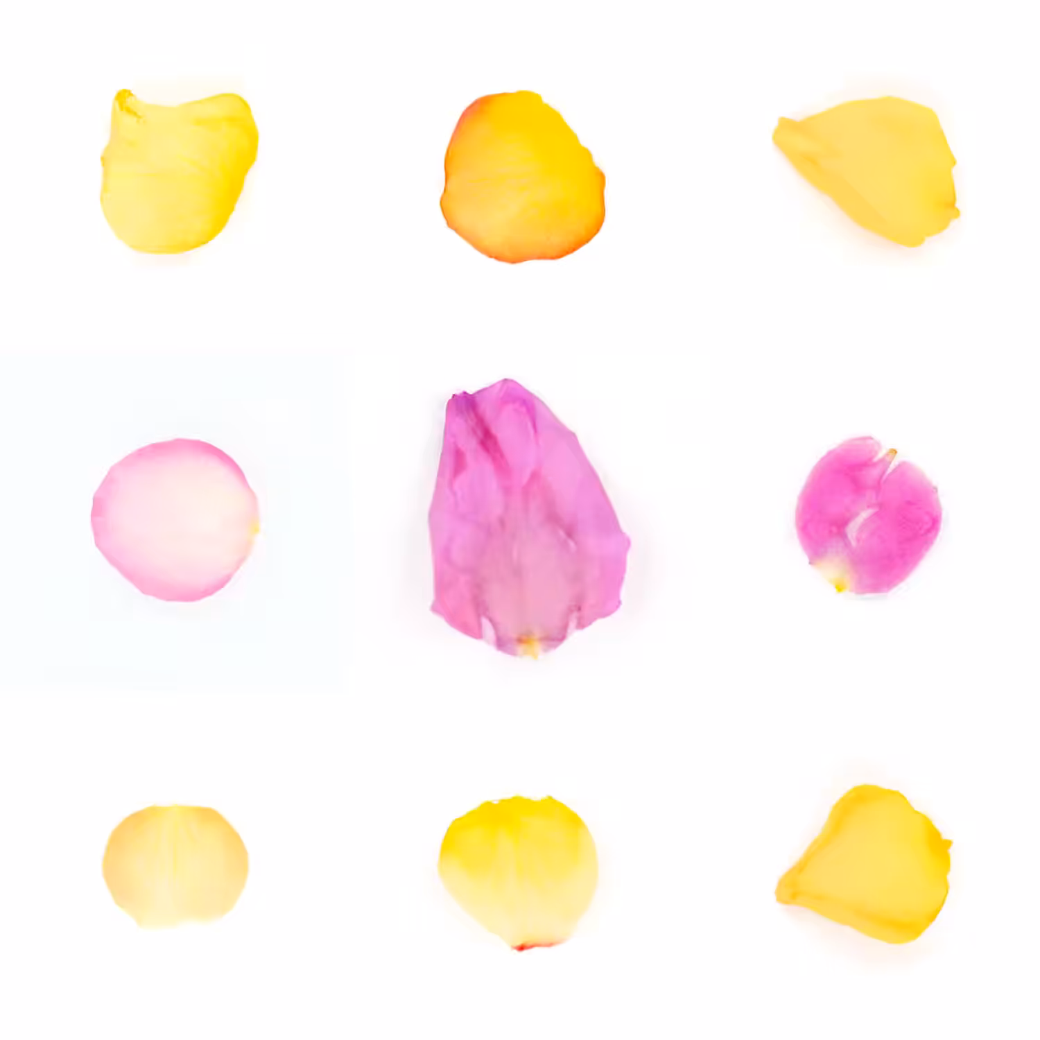Infinite Petals 3x3#3558