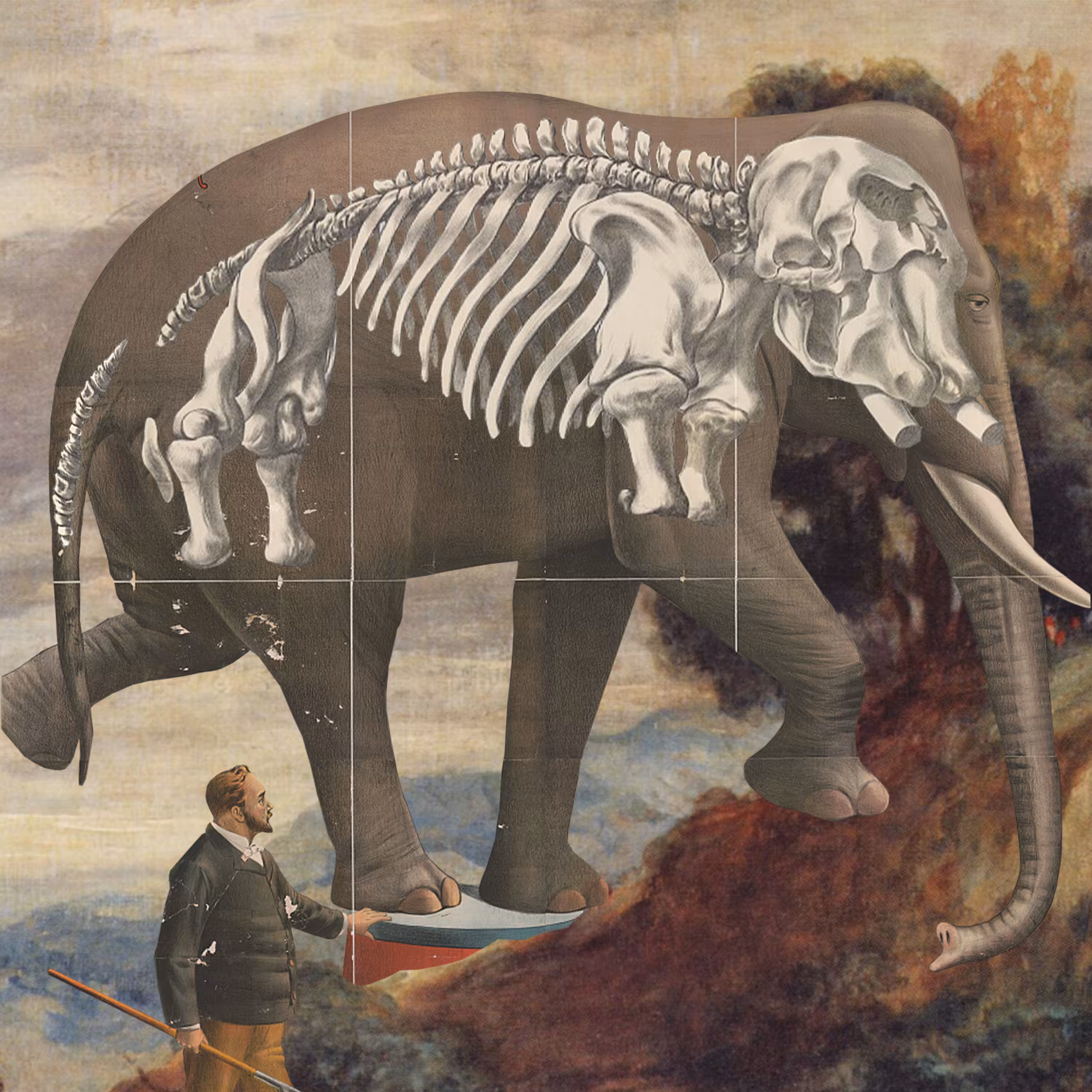 elephant exploitation isn’t cool anymore