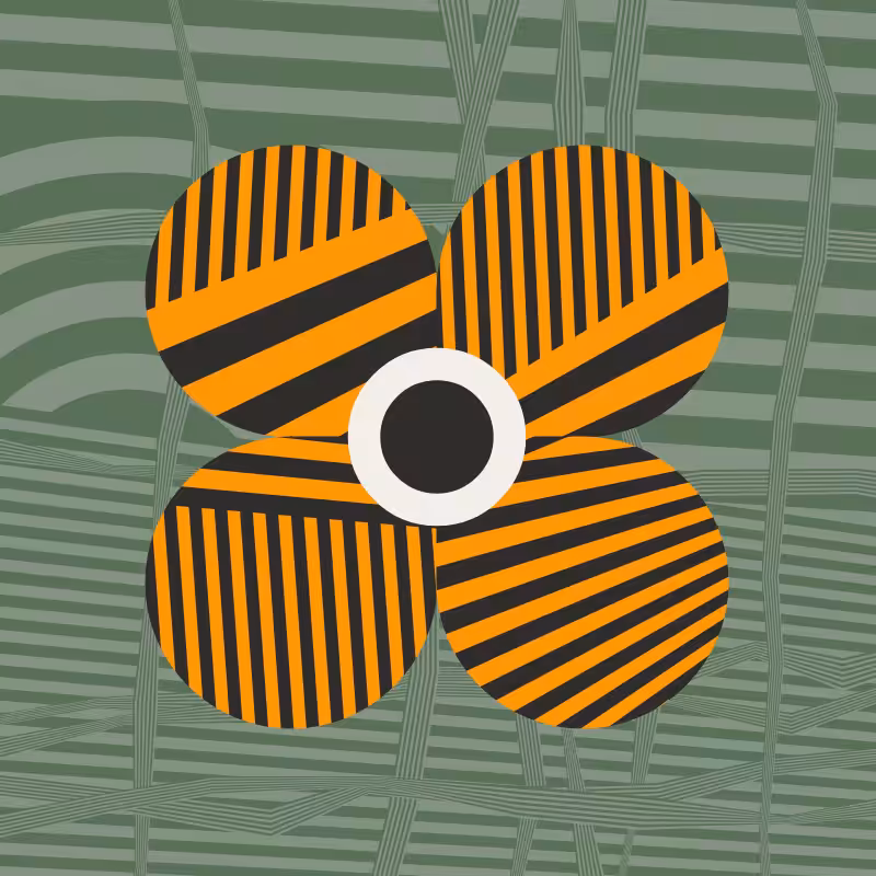 Dazzle Bloom: Big Orange #19