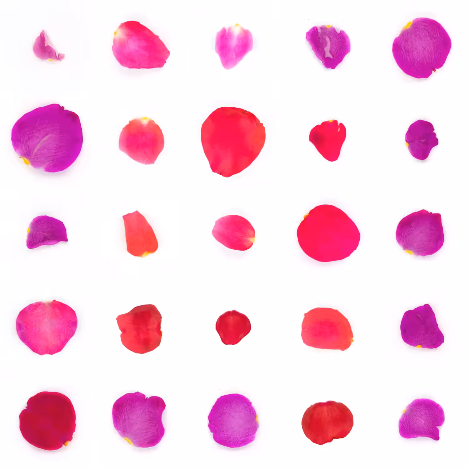 Infinite Petals 5x5#1464