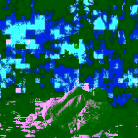 Alone in the forest