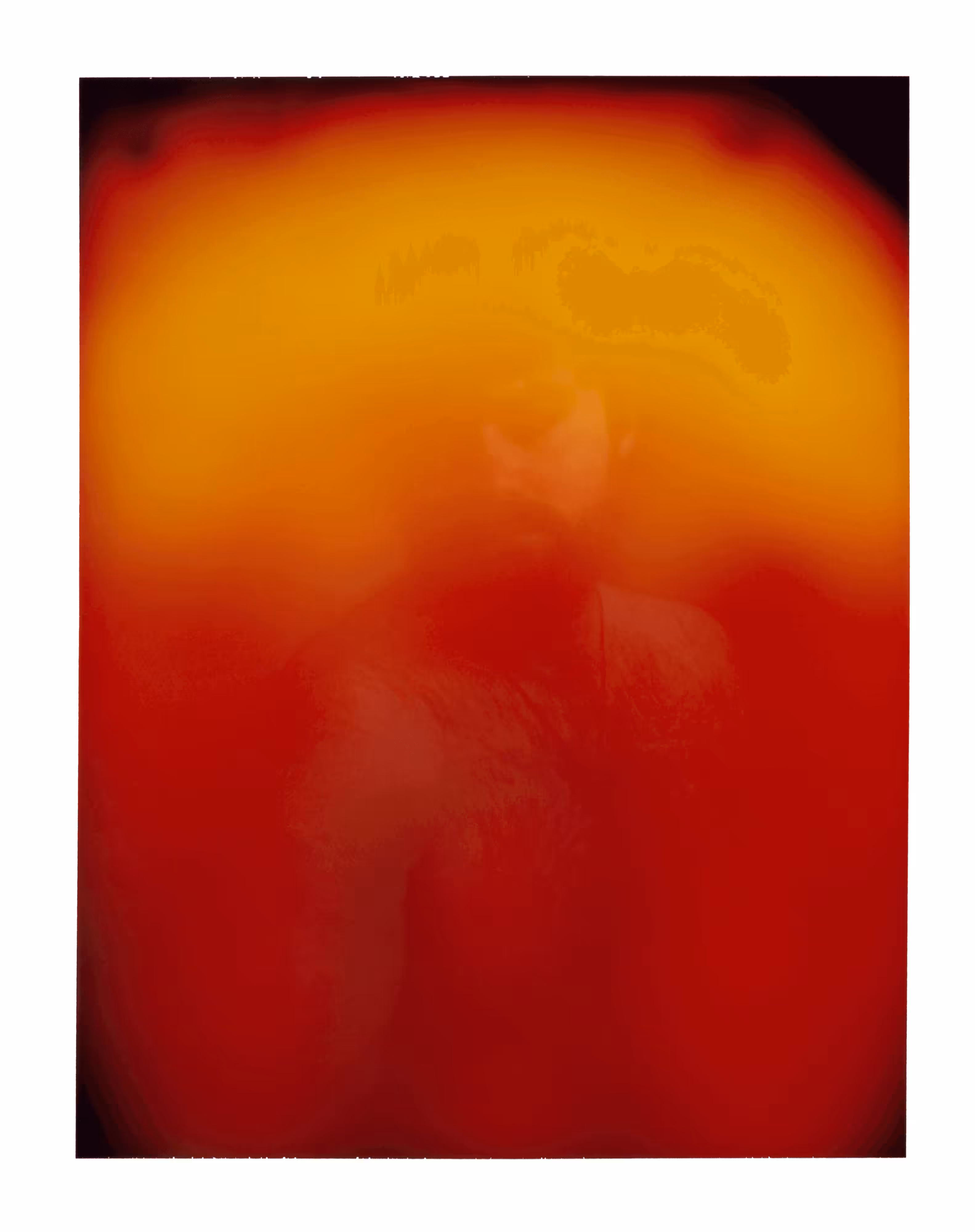 The Portrait Machine #32. Sam Scott