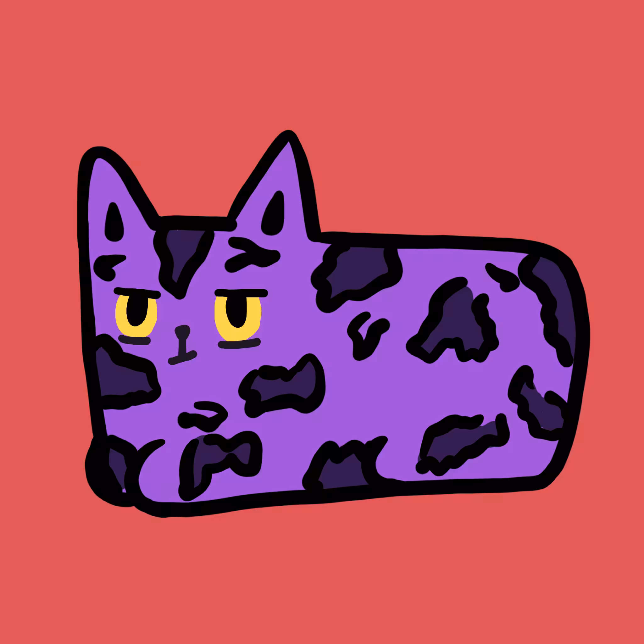Sunny Cat 36