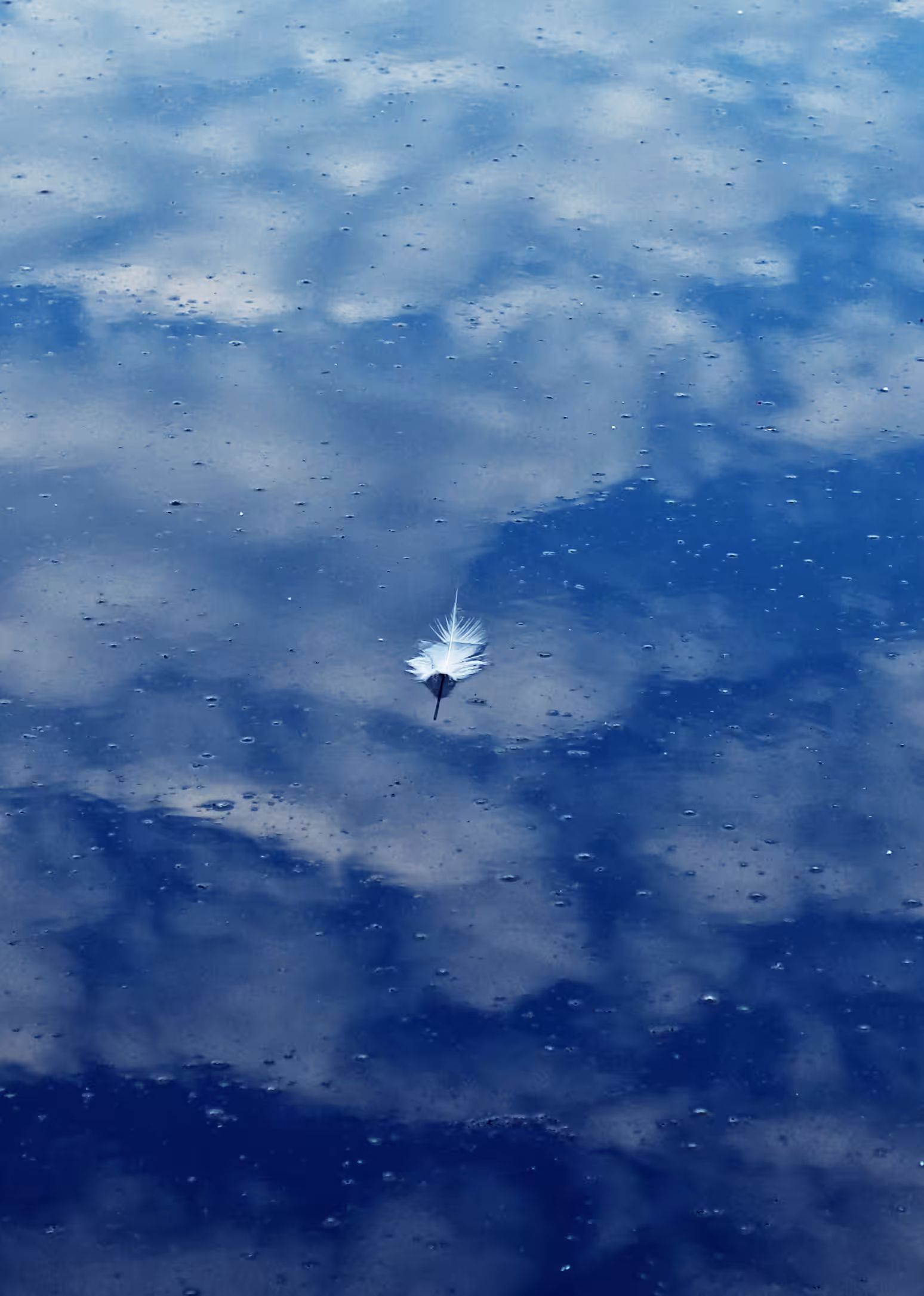 Lightness