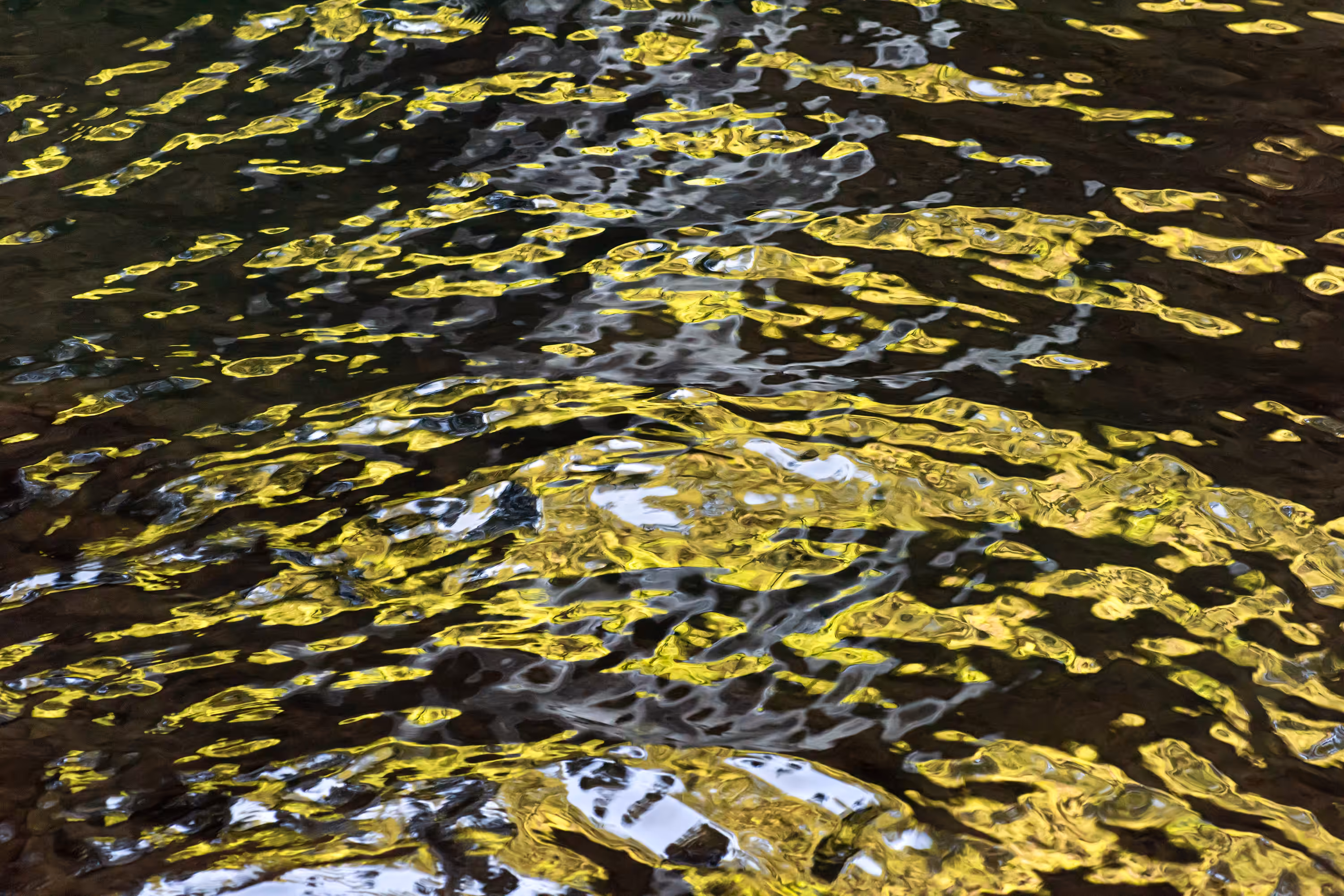 Ebb and Flow #50